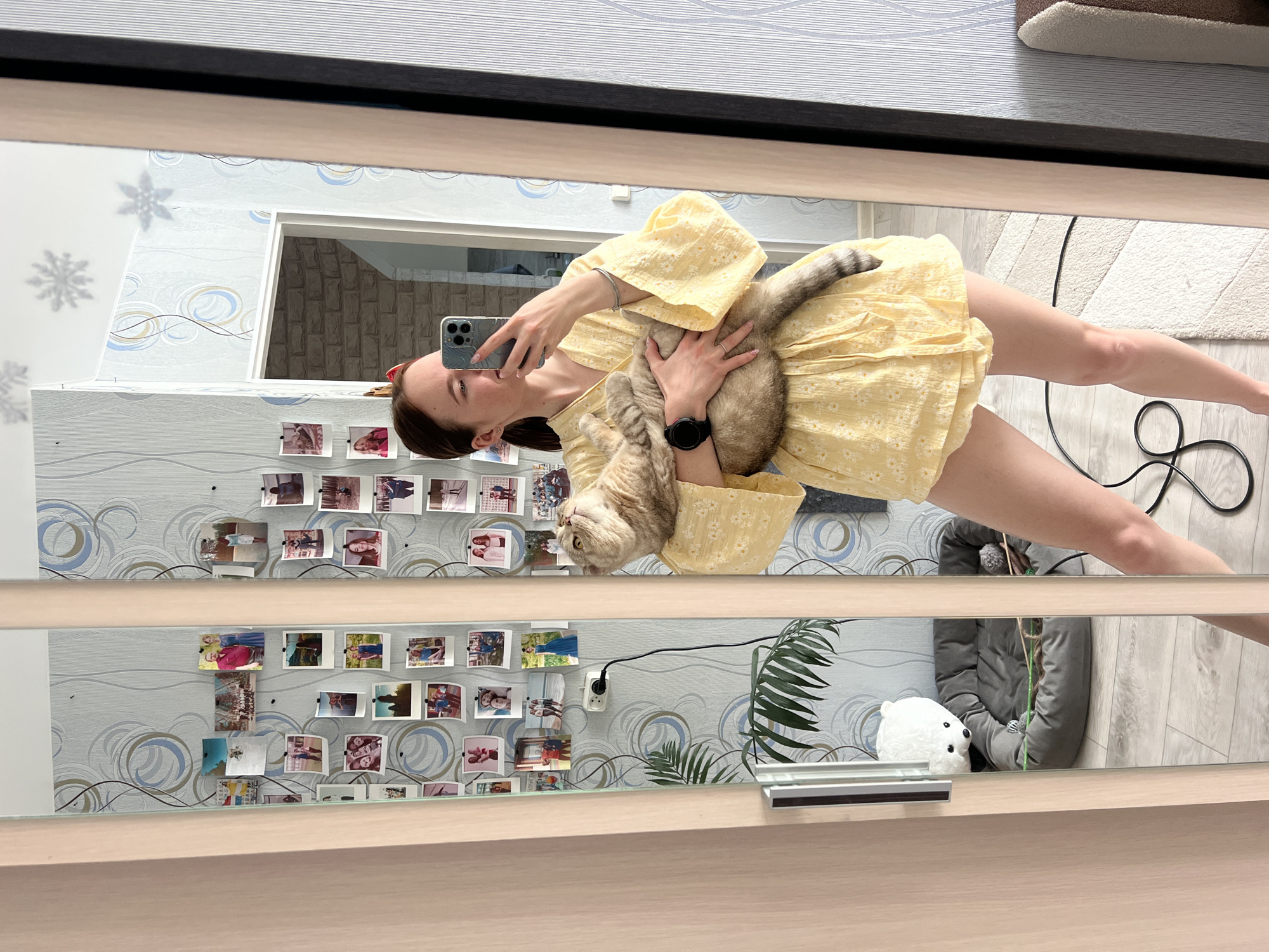 A woman in a yellow dress holds a gray tabby cat while taking a mirror selfie. The reflection shows a wall decorated with photographs, a window, a pet bed, a toy, and a plant. The location is in Chaikovsky, Russia, as evidenced by the presence of a power outlet compatible with the Russian electrical standard.