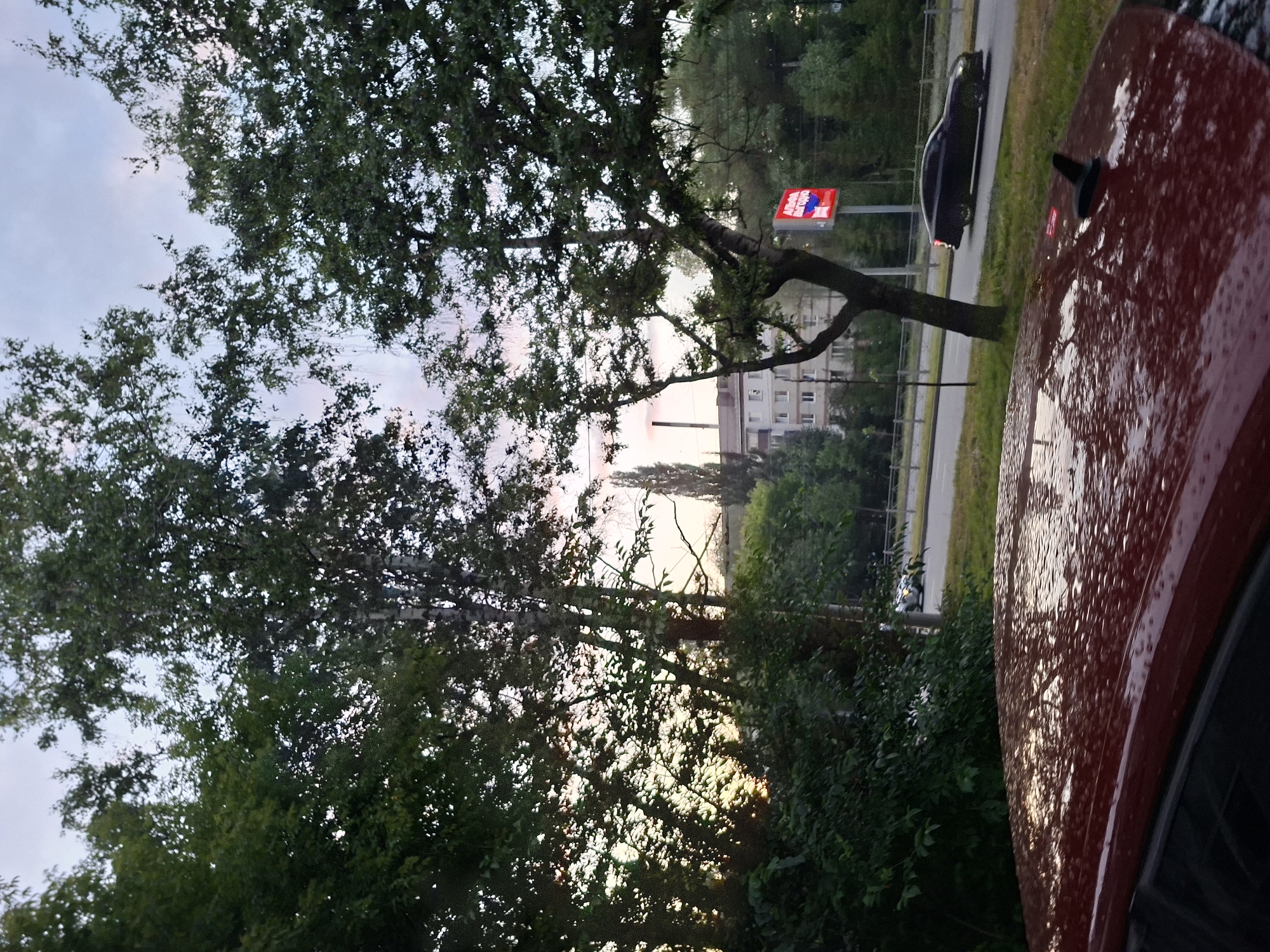 The image depicts a street scene in Kazan, Russia, with a focus on a red car's wet roof in the foreground, reflecting the overcast sky and surrounding trees. Beyond the car, a two-lane road is visible, with a black sedan driving on it. To the left of the road, lush green trees and bushes dominate the landscape, partially obscuring a multi-story apartment building and a tall, slender industrial chimney in the background. A red and white illuminated sign is positioned on the right side of the road, near the apartment building. The overall atmosphere suggests an urban setting with a mix of natural elements and infrastructure, possibly during or after rainfall given the wet car roof.