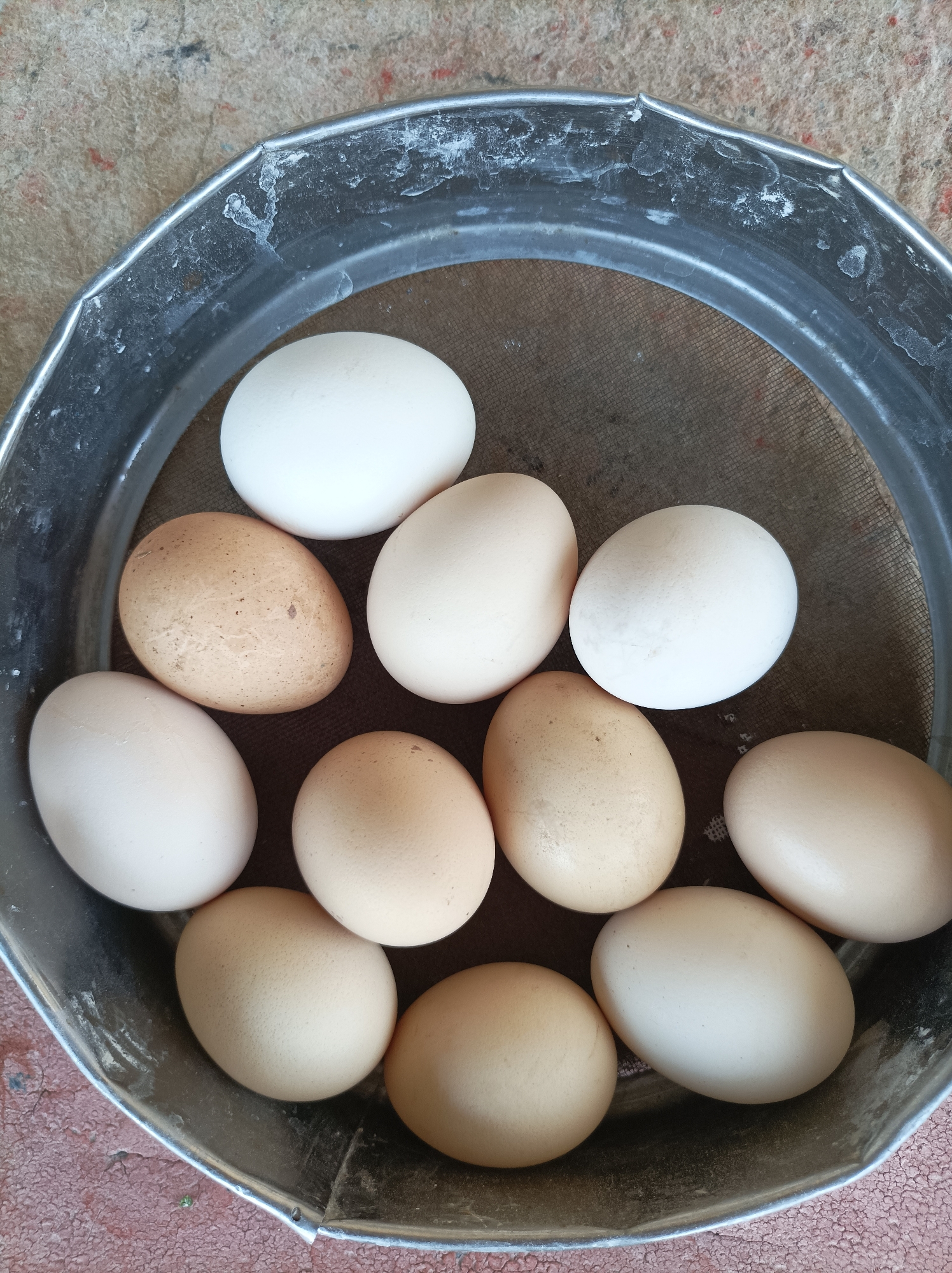 A high-angle, close-up shot shows a metal sieve filled with ten eggs. The sieve has a rough, textured interior and a worn, metallic rim with some white residue. The eggs vary slightly in size and color, with some being pure white and others a light tan or speckled brown. The sieve rests on a surface that appears to be made of reddish-brown, cracked material, possibly a textured floor or weathered ground. The overall scene is simple and focused on the eggs within the sieve. This image does not provide any information about the city of Seýdi, Turkmenistan.