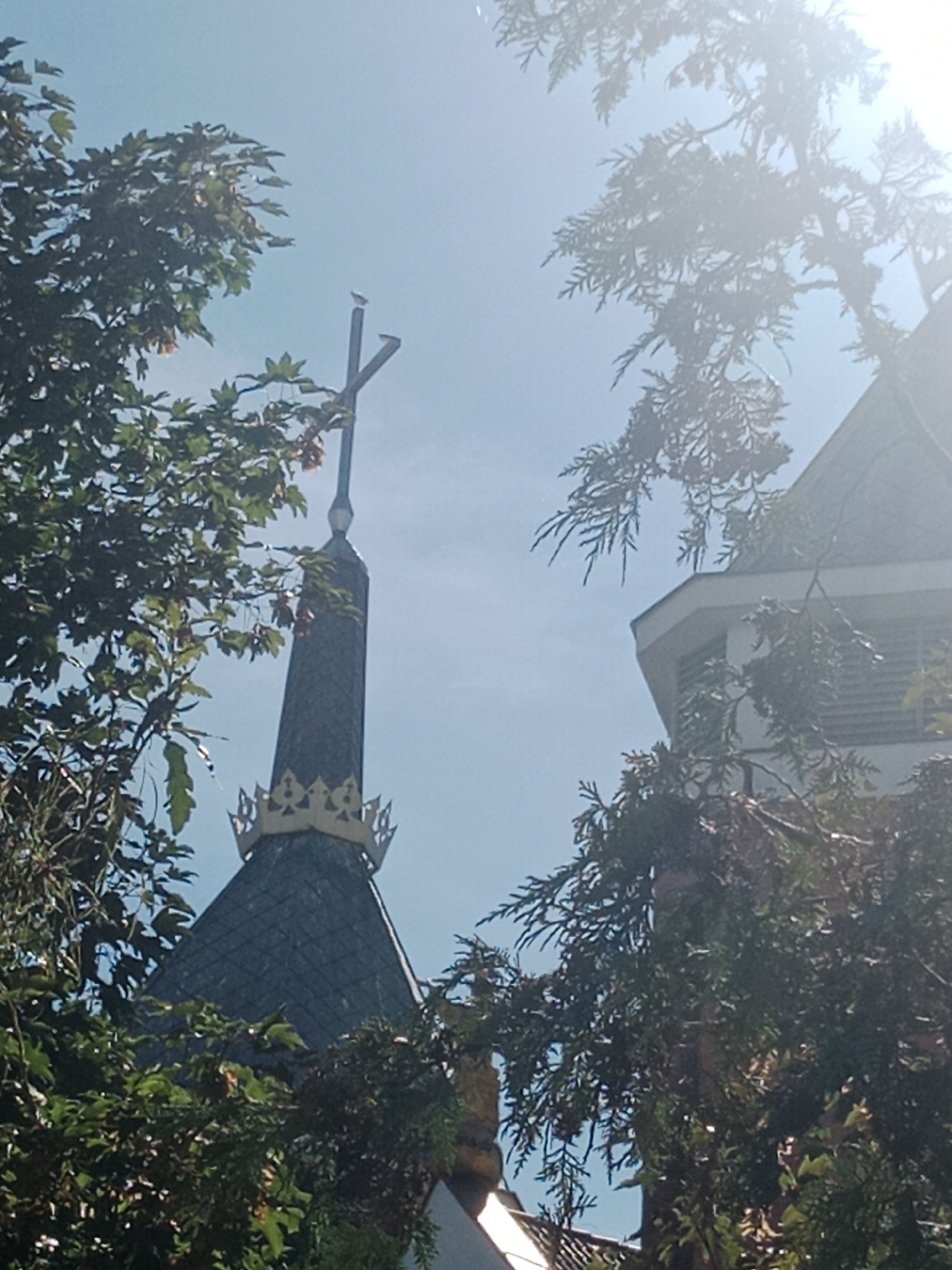 The image shows the spire of a building, possibly a church, against a bright blue sky. The spire is dark grey and conical, topped with a cross. It is adorned with a decorative gold band just below the spire, resembling a crown or ornate molding. Green foliage from trees obscures parts of the spire and frames the scene, with branches and leaves visible in the foreground and upper corners. To the right of the spire, a portion of another building is visible, with a lighter colored, angular section and horizontal louvers. The lighting suggests a sunny day, with some lens flare or bright light sources in the upper right quadrant of the image, obscuring details in that area. The context of Bydgoszcz, Poland, suggests this is likely a landmark or architectural feature within the city.