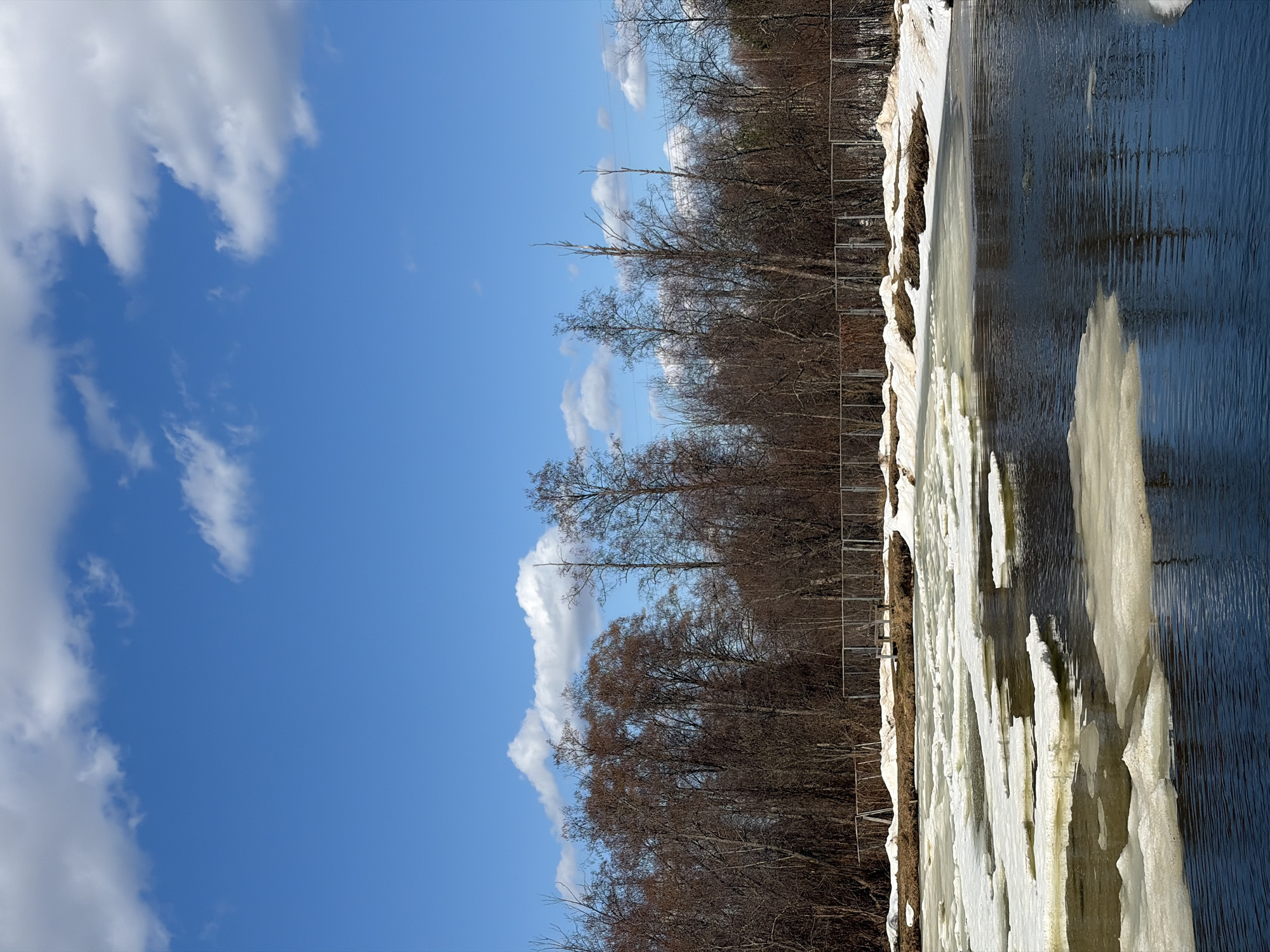 The image depicts a partially frozen river in Malyi Bukor, Russia, under a blue sky with scattered clouds. The riverbank is lined with trees without leaves, suggesting late winter or early spring. The river's edge is heavily coated with ice formations. A simple fence runs parallel to the riverbank along the tree line. The water in the river is dark, reflecting the sky and surrounding environment.