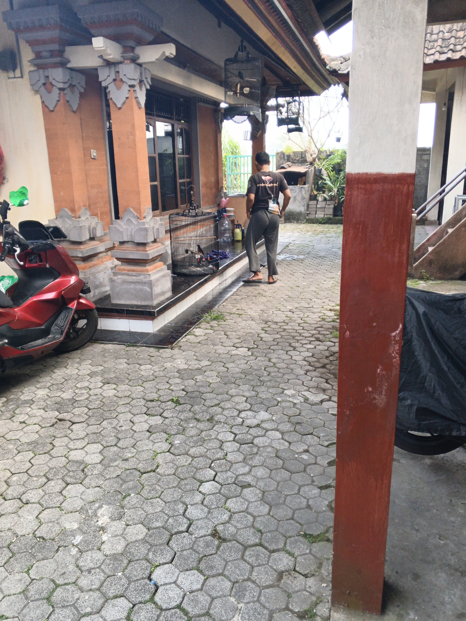 The image depicts an outdoor scene in what appears to be a residential or commercial area in Sukawati, Indonesia. In the foreground, a red scooter is parked on a hexagonal paver stone ground. To the right of the scooter, a large birdcage with a bird inside is placed on a tiled platform.
A man wearing a dark t-shirt and grey pants stands with his back to the camera, facing a building. The building has large, orange-colored pillars with decorative grey accents, characteristic of Balinese architecture. A covered walkway extends from the building, with more birdcages hanging from the ceiling.
Further to the right, a large, red-painted pillar stands prominently in the foreground. Behind it, a staircase leads up to the building, and a black tarp covers some objects. The background shows more of the building, some greenery, and a fence. The overall impression is one of a functional outdoor space, possibly a shop or a home with a pet-keeping aspect. The lighting suggests it is daytime, possibly overcast.