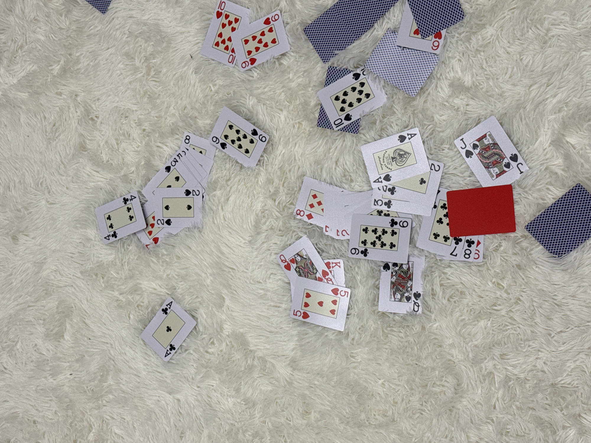 A collection of scattered playing cards rests on a white, shaggy surface, likely a rug or carpet. The cards are face-up, displaying various numbers and suits (hearts, spades, clubs, and diamonds). There is one solid red card. The backs of some cards are visible and have a blue geometric pattern. The scene gives the impression that a game has just ended, or the cards have been playfully dispersed. This scene is unlikely to be in Tlustenkhabl, Russia.