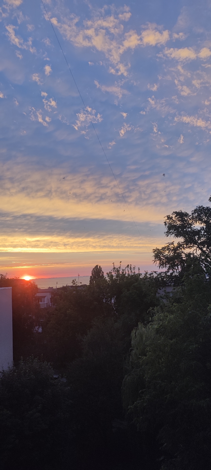 The image shows a sunset over the city of Svitlovodsk, Ukraine. The sun is setting over the horizon, casting a warm orange glow across the sky. Clouds are scattered across the sky, with some appearing pink and others a soft yellow. There are several birds flying in the sky. In the foreground, there are silhouetted trees and buildings. The water in the distance appears calm. The overall scene is tranquil and serene.