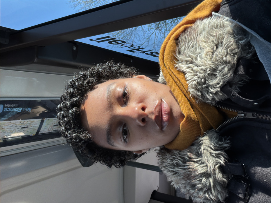 The image displays a frontal, close-up portrait of an individual seated within a public transport vehicle, identified as being in Gournay-sur-Marne, France. The subject is an adult with medium-dark skin, short, dark, tightly curled hair, and is looking directly forward. They are wearing a dark, zippered jacket with a prominent greyish-brown faux fur collar and a mustard yellow scarf wrapped around the neck. Strong natural sunlight illuminates the right side of the subject's face and shoulder, creating pronounced shadows on the left. To the subject's right, a window reveals a clear blue sky and the upper branches of a deciduous tree, indicative of an outdoor daylight setting. Reflections of internal vehicle elements are visible, including text such as "Île-de-France mobilités" and a map-like graphic, confirming the context of regional public transportation. The vehicle's interior structure, including light-colored overhead panels and dark window framing, is discernible. No other individuals or actions are depicted.