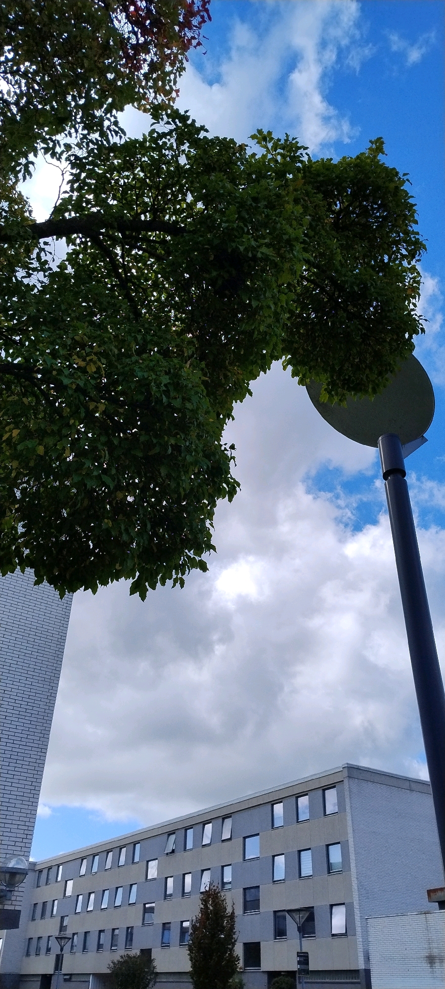 The image shows the exterior of a multi-story building in Ishøj, Denmark, likely a dormitory or apartment complex, with a modern facade featuring alternating bands of grey and light blue panels, punctuated by numerous rectangular windows. Some windows are open, reflecting the sky. In the foreground, a large tree with dense green foliage extends from the top left of the frame, arching over the scene. A tall, dark lamppost with a circular lamp is visible on the right side. A portion of another white brick building is visible on the far left edge. The sky above is a mix of blue with scattered white clouds.