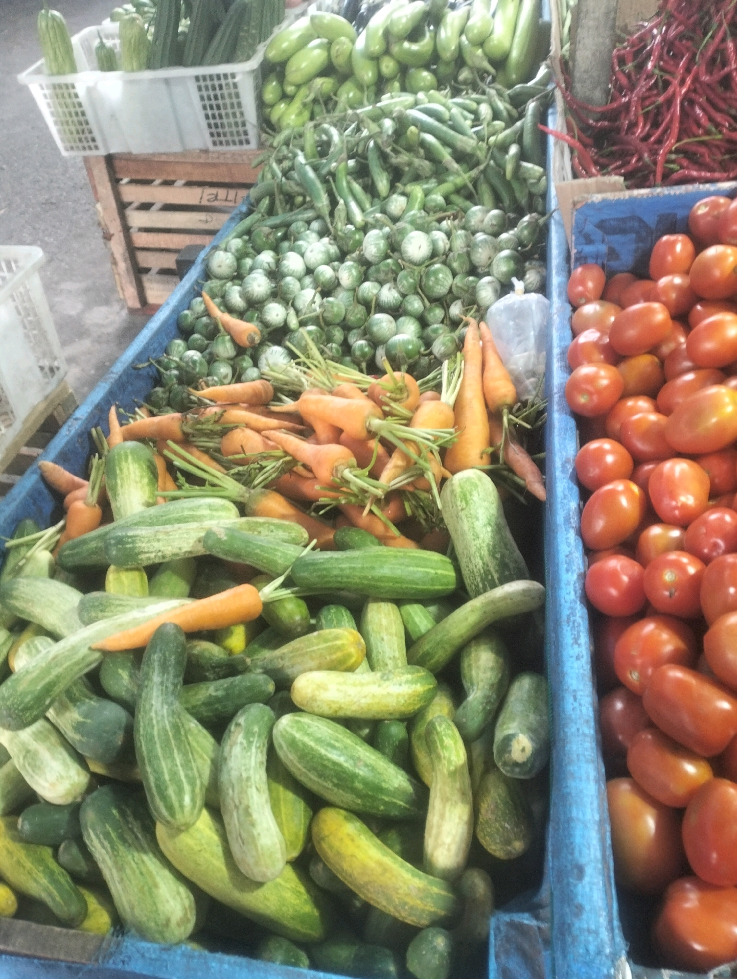 This image depicts a street-level market stall in Balik Alam, Indonesia, showcasing a variety of fresh produce. In the foreground, a blue crate overflows with a dense arrangement of green cucumbers, some with prominent ridges and lighter green stripes. Interspersed among the cucumbers are several bright orange carrots with visible green tops. To the right of the cucumbers, another blue crate contains a large volume of ripe red tomatoes.
Behind these crates, a blue tarp-lined bin holds a significant quantity of small, round green eggplants. Further back, a wooden crate is filled with long, dark green vegetables, likely gourds or cucumbers, stacked vertically. Above and behind the eggplants, a pile of elongated, bright red chilies is visible, spilling out of a container. The overall impression is one of abundance and the daily commerce of fresh ingredients at a local market.