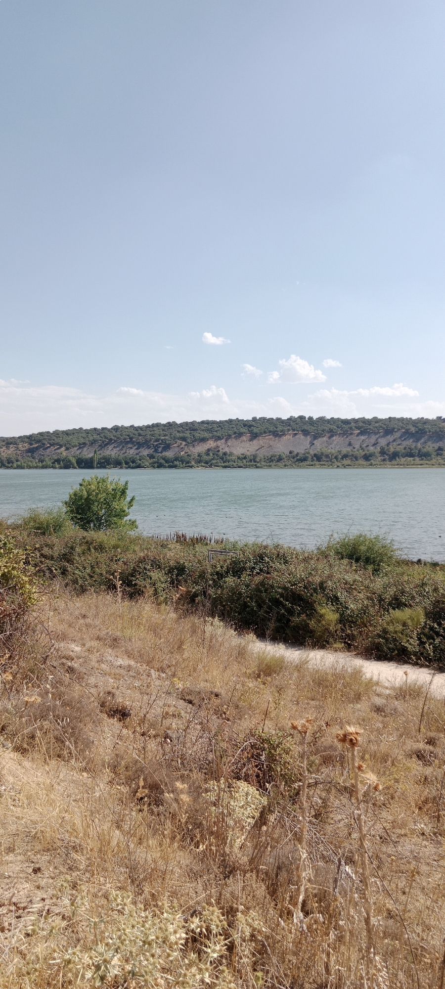 The image depicts a natural landscape with a body of water and a vegetated hillside under a clear blue sky with a few scattered white clouds. In the foreground, dry, yellowed grass and some dried thistle plants are visible on a slight incline. A dirt path winds through the dry vegetation.
The middle ground features a lush, dense green bush line bordering a calm, blue-green body of water. A single, vibrant green tree stands prominently on the near side of the water. In the water, several dark, indistinct objects, possibly ducks or buoys, are scattered.
The background consists of a long, undulating hillside covered in dark green foliage, appearing to be trees and shrubs. The sky above is a pale blue, with a few wispy white clouds. The overall impression is one of a serene, natural environment on a sunny day. No people or specific man-made structures, other than the path, are clearly identifiable. The location is described as Guadalix de la Sierra, Spain.
