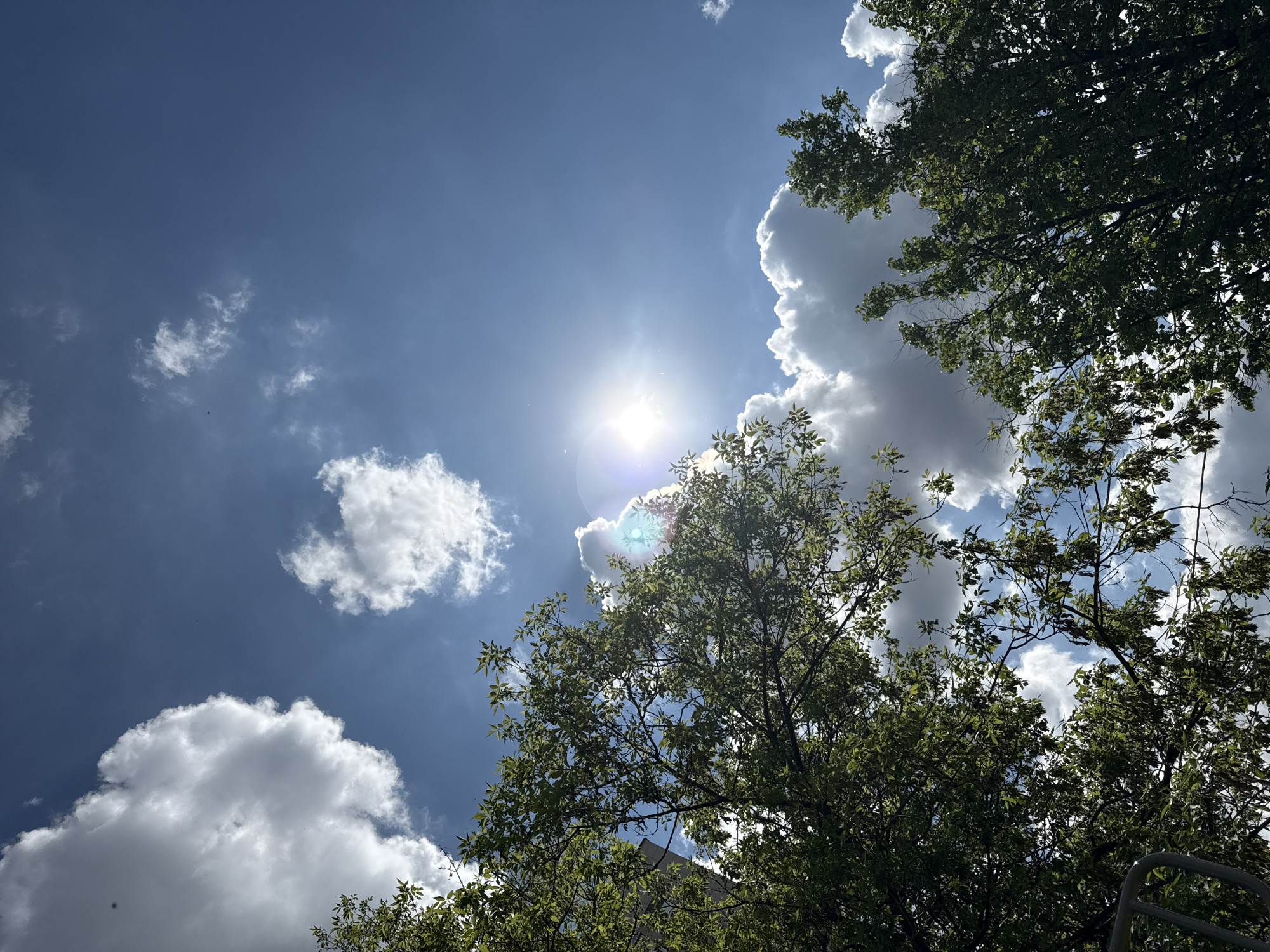 The image captures a scene under a bright, sunny sky in Moscow, Russia. Fluffy white clouds are scattered across a vibrant blue sky, with the sun prominently positioned. The glare from the sun creates a lens flare effect.
In the foreground and right of the image, leafy green tree branches obscure some of the sky. In the lower part of the image, there is an indication of the lower parts of the buildings.