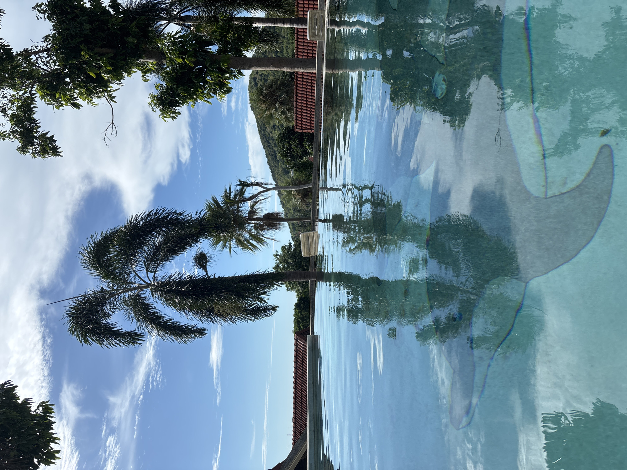 This is a low-angle, medium shot of a swimming pool in Ban Bang Rak, Thailand. The foreground is dominated by the clear, turquoise water of the pool, which reflects the sky and surrounding vegetation. The bottom of the pool is visible, with large, light-colored, abstract shapes embedded within the tiles. Palm trees, their fronds dark against a bright blue sky with scattered white clouds, are prominent in the middle ground and background. Beyond the pool, a red-tiled roof of a building is visible, followed by a dense line of green trees and a distant, lush green hill. The scene is peaceful and appears to be taken on a sunny day. There are no people or animals visible in the image.