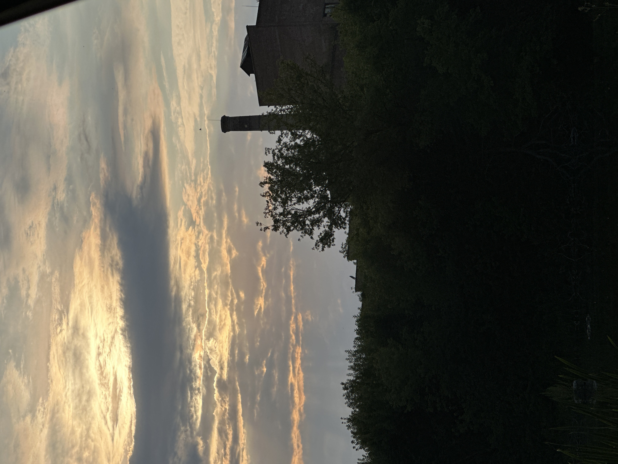 The image captures a cloudy sky at sunset over a silhouetted industrial building with a tall chimney. The sky is filled with a mix of dark gray and bright orange-yellow clouds, with streaks of light breaking through. In the midground, a dense line of dark green trees obscures the lower part of the building and the surrounding landscape. The industrial building is brick, with a dark roof and a prominent, tall, cylindrical chimney. A single bird is visible in flight against the sky, near the top of the chimney. The foreground is dominated by the dark silhouette of trees and foliage, with a hint of dark water and reeds at the very bottom of the frame. The scene suggests an industrial area on the outskirts of Makiv, Ukraine, under a dramatic twilight sky.