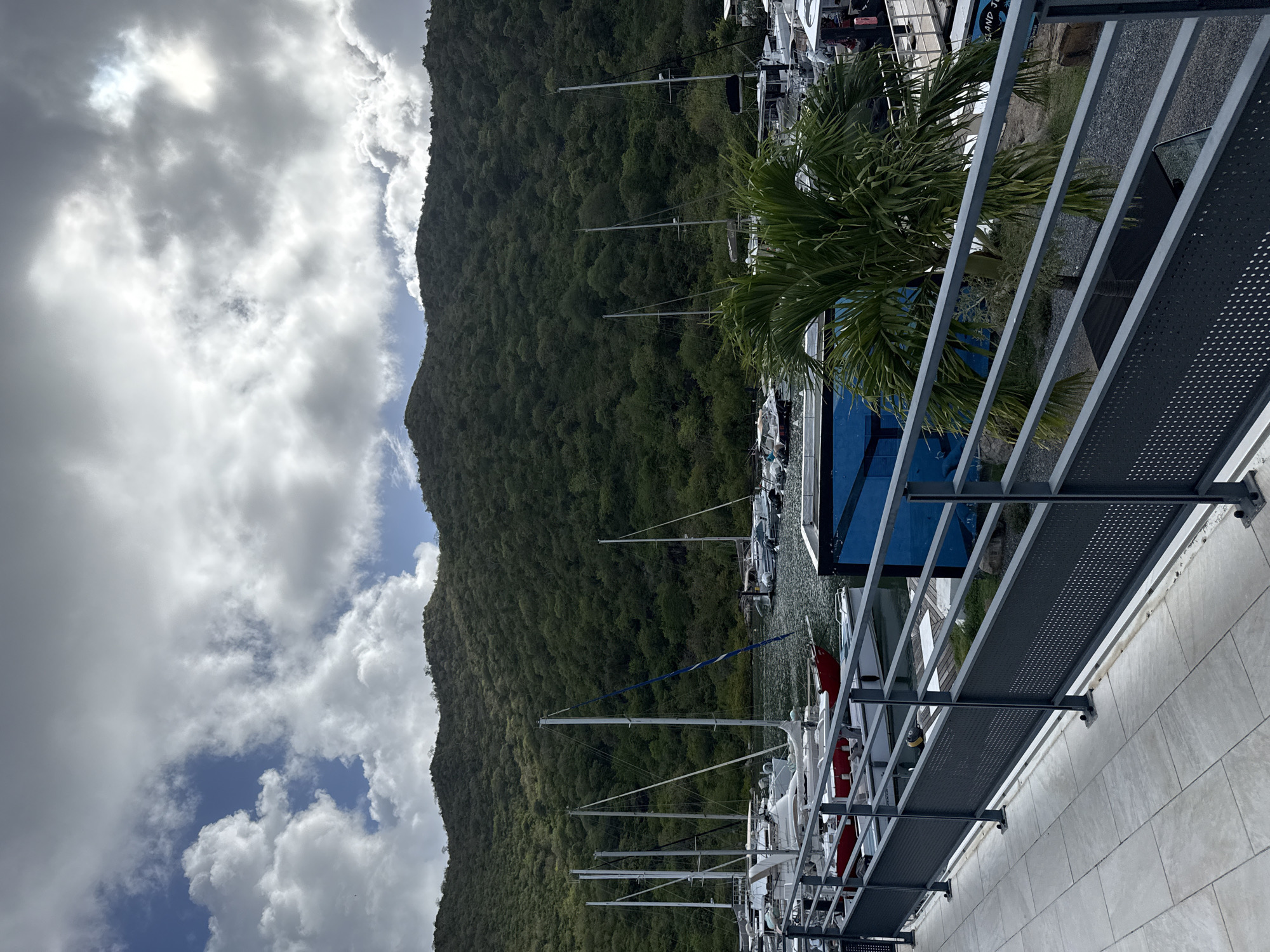 The image depicts a marina scene in Saint-Martin, France, with a mountain covered in dense green vegetation as a backdrop. In the foreground is a grey metal walkway structure. Beyond the walkway, several yachts and boats are docked, their masts extending upwards. A palm tree is visible amidst the boats. The sky is filled with clouds, some white and fluffy, others darker and more ominous.