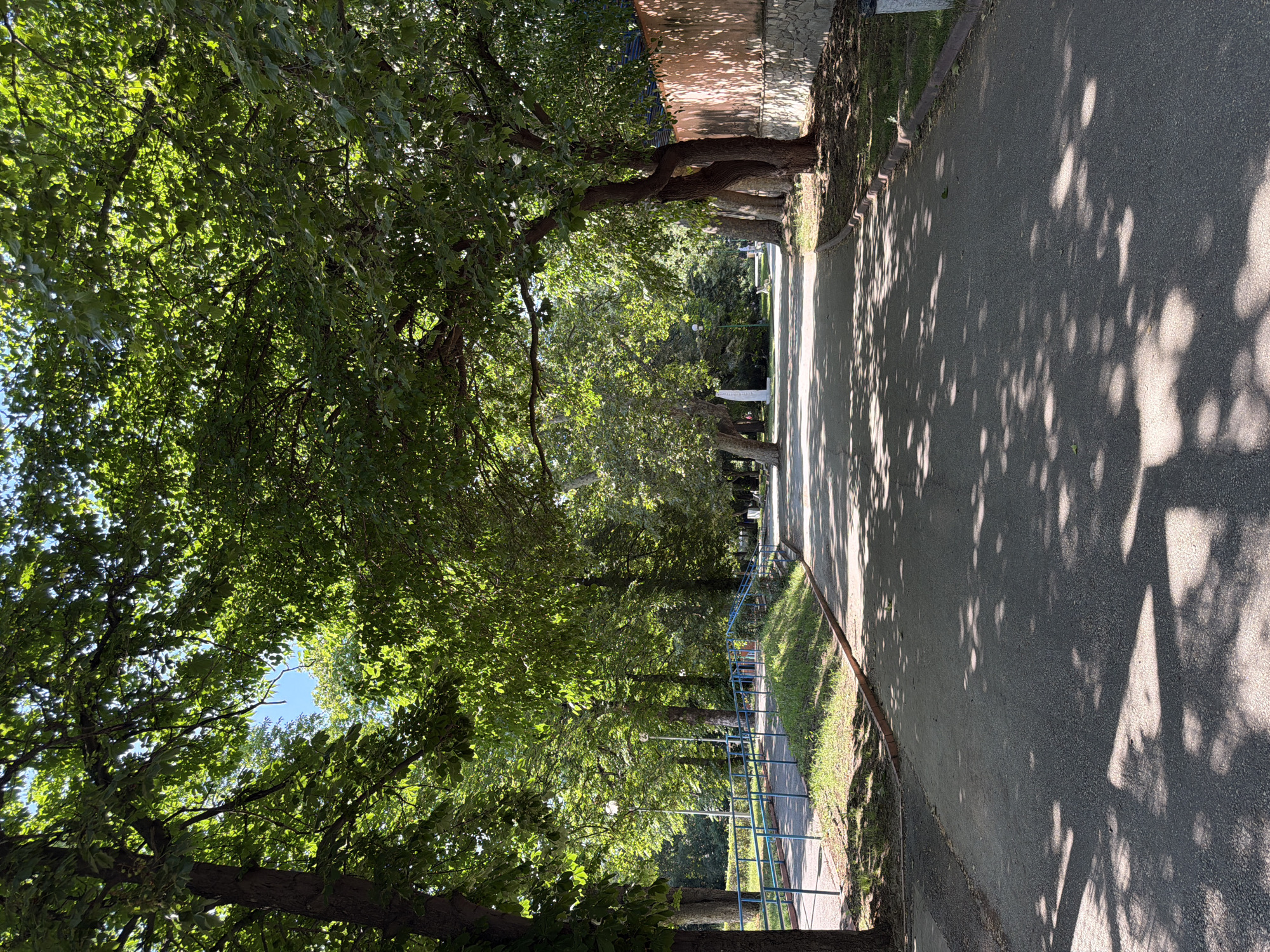 The image depicts a park pathway in Pazardzhik, Bulgaria, bordered by trees with lush green foliage casting dappled shadows on the asphalt. On the left, a blue-railed ramp and walkway are visible, leading into the park. The pathway continues into the distance, flanked by more trees and a stone wall with an orange tiled roof on the right. The scene is bathed in sunlight, suggesting a clear day. No people are present in the foreground, but a distant figure can be seen walking along the path. The overall impression is one of a serene, sunlit public space.