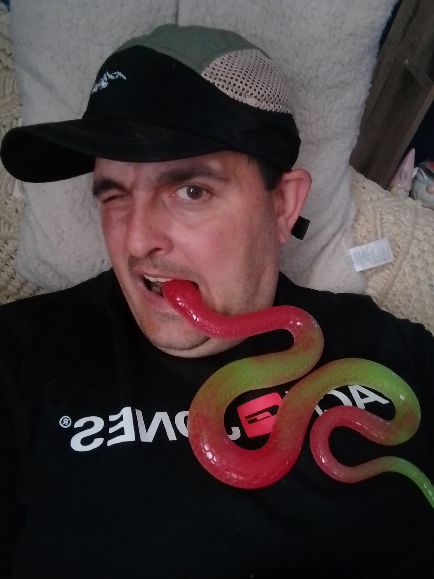 A man wearing a black baseball cap and a black t-shirt with white lettering and a red graphic is lying down. He is winking and has a red and green toy snake in his mouth, with the snake's head protruding from his lips. The man's face is the primary focus. In the background, a textured light-colored blanket or rug is visible, along with a wooden shelf and what appears to be a decorative gnome figure. The scene does not provide any information about the city of Wedel, Germany.
