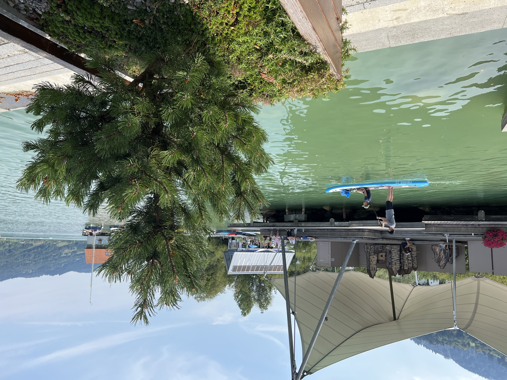 The image shows a scenic view of the Großer Alpsee lake in Immenstadt im Allgäu, Germany, on a bright, sunny day with scattered clouds. In the foreground, a large pine tree with lush green needles partially obscures a wooden planter box filled with various green and reddish-brown plants.
The middle ground features a wooden pier extending over the clear, greenish water. On the pier, a white tent-like structure with metal poles provides shade. Behind the tent, there's a small building with a white roof and windows, and further back, a larger building with a red roof and a sailboat docked nearby. Several people are visible on the pier, some sitting and relaxing, others potentially engaged in activities.
In the water, two individuals are on a blue paddleboard. One person is standing and appears to be paddling with a paddle, while the other is sitting on the board. The water is calm with ripples, and the reflection of the sky and surrounding elements is visible.
The background is dominated by rolling, tree-covered hills and mountains under a bright blue sky. The overall scene conveys a peaceful and idyllic atmosphere, characteristic of a lakeside recreational area in the Bavarian Alps.