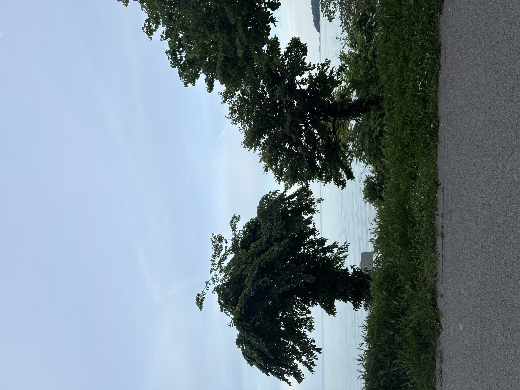 The image shows a pathway, likely a sidewalk, adjacent to a body of water. The path is paved with grey asphalt. Along the path, lush green grass and trees grow. The trees are dark green and partially obscure the view of the water. The water is a light blue color, reflecting the sky, which is also a pale blue. A small, white structure can be seen partially obscured by the greenery near the water. The photograph appears to be taken during the daytime under overcast or hazy sky conditions. The location is presumed to be near a body of water, possibly a lake or sea in Varna, Bulgaria given the prompt. No people or other subjects are visible. The objects visible include the pathway, grass, trees, the water body and a small white structure.