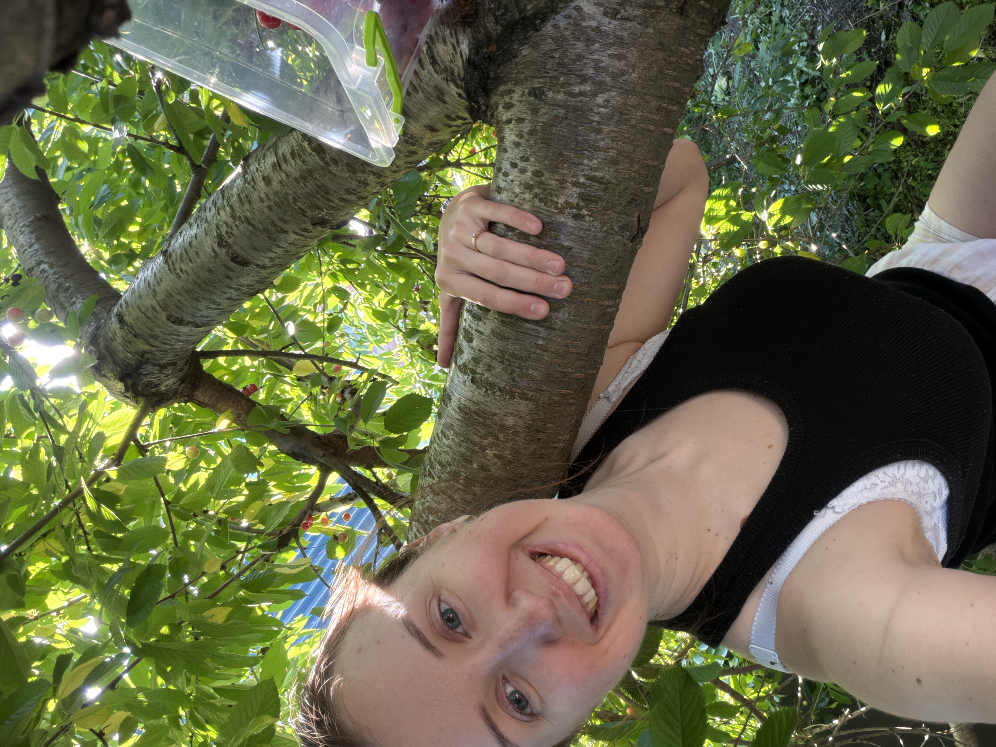 A young woman with a bright smile and blue eyes is picking cherries from a tree. She is wearing a black tank top and white lace trim underwear. Her left hand is holding onto the tree trunk, and a ring is visible on her finger. Sunlight filters through the green leaves of the cherry tree, creating a dappled effect. In the upper left corner of the image, a clear plastic container with a green lid is perched on a branch, likely used to collect the cherries. The scene appears to be set outdoors in a natural environment, possibly a garden or orchard, during the daytime. The woman's expression conveys joy and happiness as she engages in the activity. No visible text is present in the image. The location context is Bila Tserkva, Ukraine.