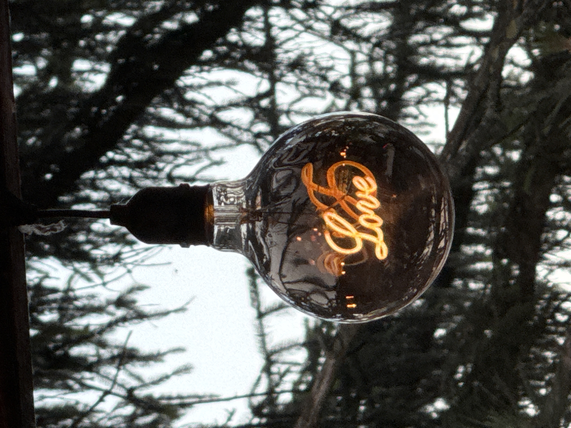 The image displays a close-up of a unique lightbulb suspended outdoors against a backdrop of trees and a bright sky. The main subject is a clear, vintage-style lightbulb, likely an LED filament type, which prominently features the word "Love" formed by its glowing, warm-toned filament in a cursive script. The bulb is attached to a dark base and wire on the left side of the frame.
In the background, the dark, silhouetted branches and dense foliage of trees are visible, somewhat blurred, suggesting a shallow depth of field that keeps the focus on the lightbulb. The sky behind the trees appears bright, indicating it is daytime, possibly under overcast conditions or during the softer light of early morning or late afternoon, allowing the lightbulb's illuminated "Love" message to stand out. There are no people visible, and no specific activity is taking place beyond the lightbulb glowing.
The visible text is the word "Love" within the lightbulb, which evokes feelings of warmth and affection. The setting is an outdoor, natural environment, contextualized as Kozloduy, Bulgaria.
