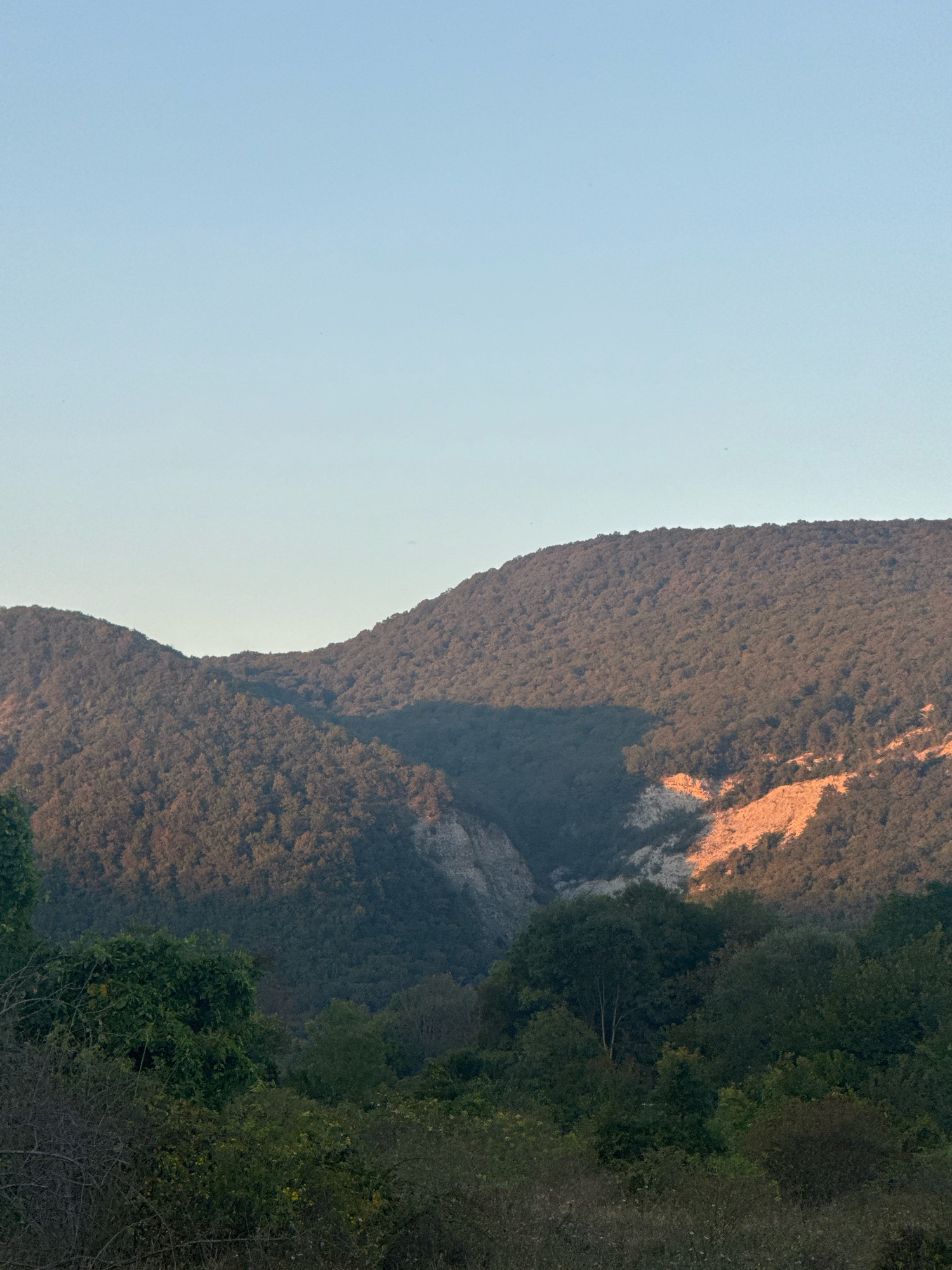 A serene landscape image captures rolling, tree-covered hills under a clear, pale blue sky. The foreground features a dense cluster of various green trees and shrubs. The mid-ground is dominated by the slopes of the hills, blanketed in dark green foliage, with a distinct line of shadow cutting across them, dividing sunlit and shaded areas. A section of exposed, lighter-colored rock or earth is visible on the right side of the mid-ground, illuminated by warm, orange sunlight, contrasting with the darker, shaded slopes. The image depicts a natural, undeveloped environment, likely a rural or mountainous area. There are no people or man-made structures visible.