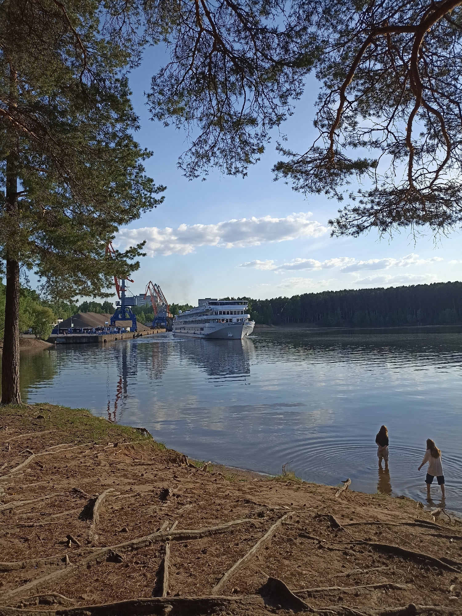 The image depicts a waterfront scene in Unknown, Unknown. A large, white passenger ship is visible on the water, situated near a docking area that includes red and blue cranes. The water reflects the sky, which contains scattered clouds. The foreground shows a shoreline covered in exposed tree roots. Two individuals are wading in the water near the shore. A forest is seen in the background across the water. Pine tree branches and leaves frame the top and left side of the image.