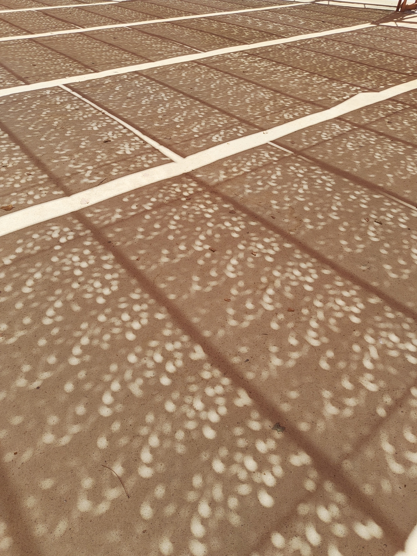 The image depicts the ground in Dénia, Spain, covered with the shadow patterns of what appears to be a lattice structure. The shadow patterns include straight lines, forming rectangles, with numerous small, round spots of light distributed inside each rectangle. The ground is a light brown color. The straight lines creating the rectangles are darker than the rest of the surface, suggesting they are shadows of overhead beams. The lighter stripes running horizontally across the image are sunlit portions of the surface, free from the overhead shadow. The small spots of light within the shadowed areas are likely caused by sunlight filtering through foliage or other openings in the overhead structure. A small portion of a human figure is visible in the top right corner, and a single, small, brown twig is on the surface.