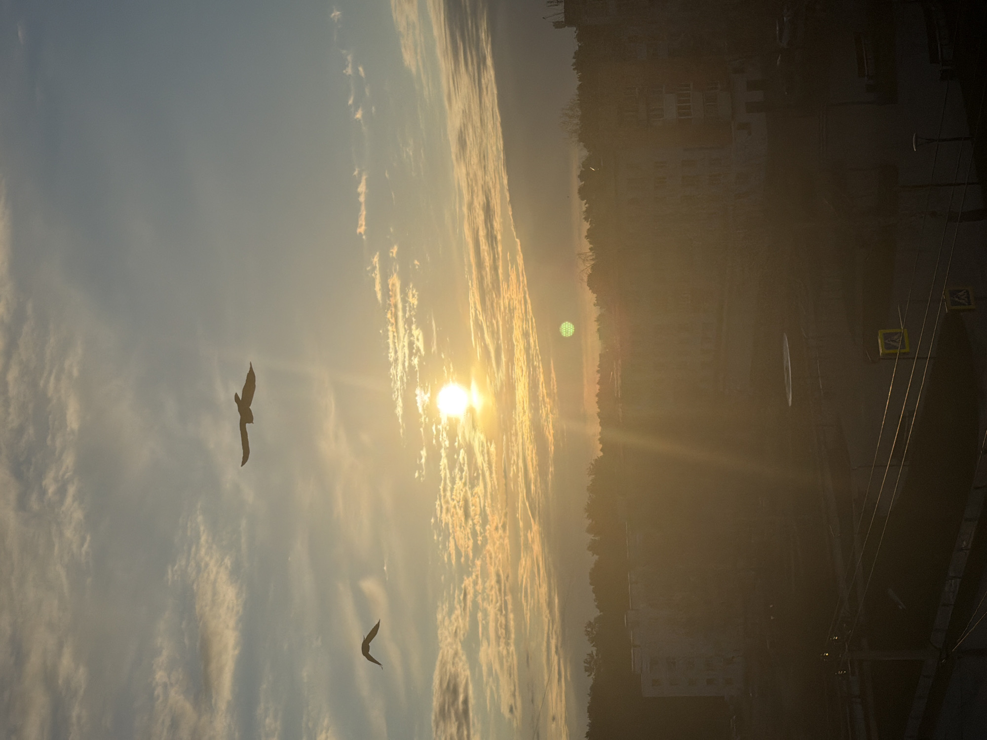 The image shows a cityscape at sunset in Chaikovsky, Russia. The sun is visible, partially obscured by clouds. Two birds are in flight in the sky. The background includes buildings and trees. There are pedestrian crossing signs visible. Power lines are in the lower right.