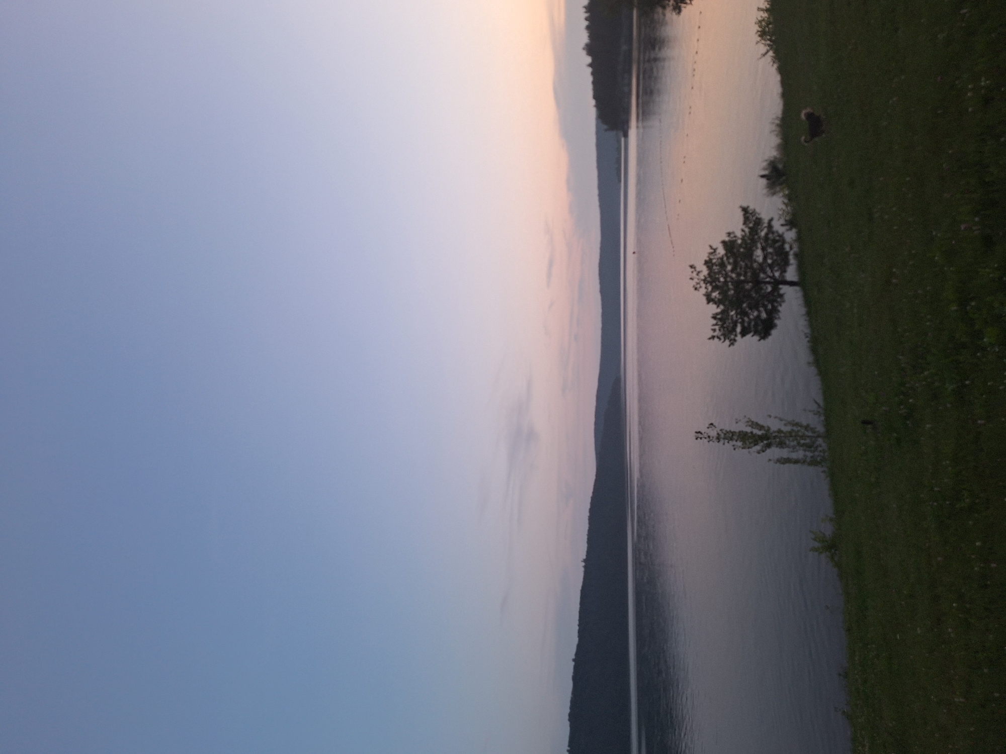 This image depicts a serene sunset scene by a large body of water, likely a lake or reservoir, with rolling hills or mountains in the background. The sky transitions from a pale blue at the top to soft hues of pink and orange near the horizon, indicating the twilight hour. The water is calm, reflecting the colors of the sky. On the grassy bank in the foreground, a small, dark-colored dog with a fluffy tail is visible. Further along the bank, a solitary tree with a rounded canopy stands out against the water. The overall atmosphere is peaceful and tranquil. The location is identified as Atamanovka, Russia.