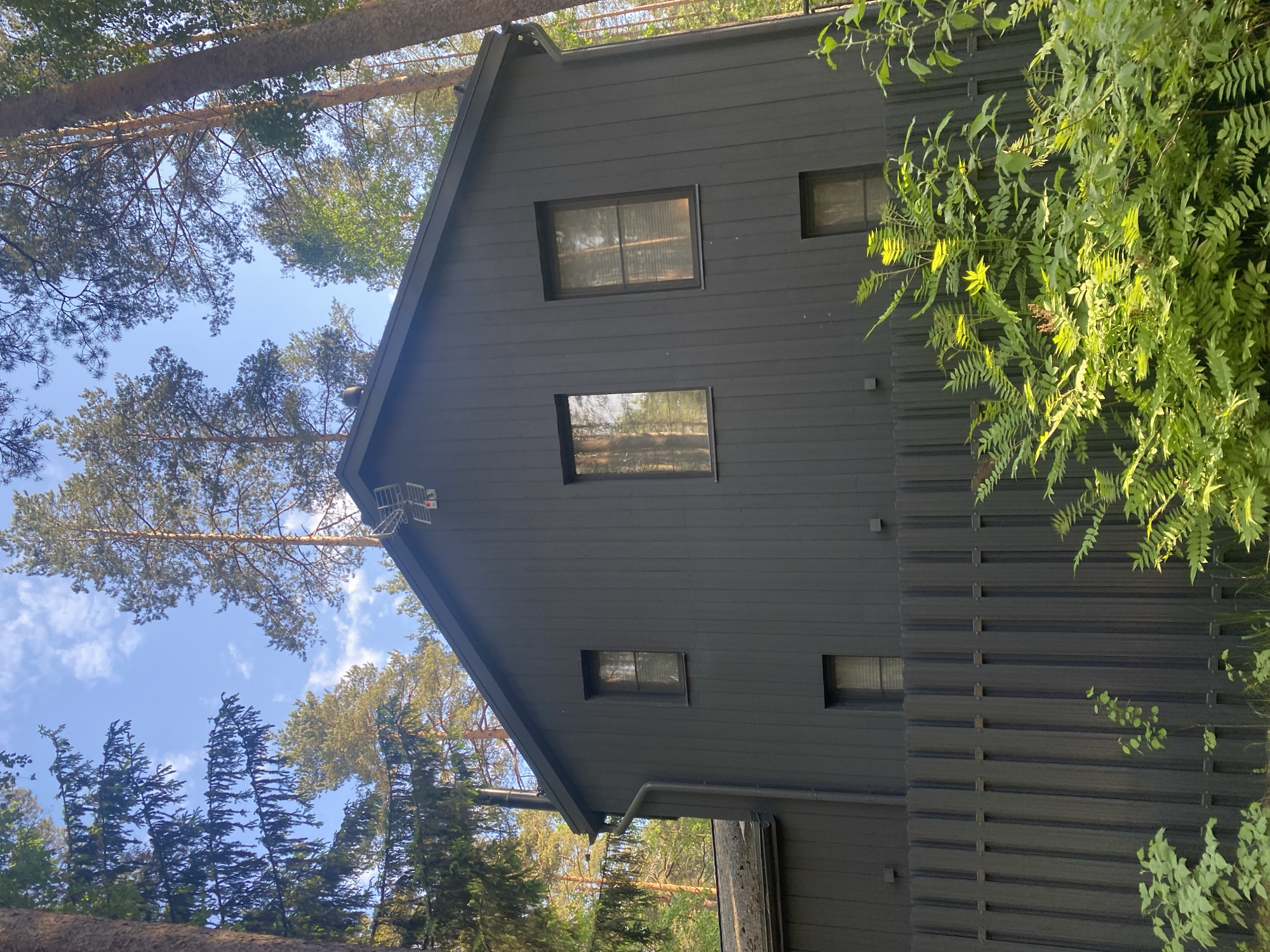 The image displays a modern, dark gray or black house with a prominent pitched roof, situated within a dense forest environment. The house features horizontal siding and multiple windows of various rectangular shapes and sizes, reflecting the surrounding trees and bright sky. A downspout is visible along the side of the house, and a small white antenna-like device is affixed near the top of the gable end.
The setting is characterized by numerous tall pine or conifer trees that encircle the house, with their branches and trunks visible against a clear blue sky dotted with scattered white clouds. Lush green foliage and bushes are prominent on the right side of the house, partially obscuring a dark-colored slatted fence or screen that matches the house's exterior.
The scene is captured in bright daylight, indicated by the strong sunlight illuminating the house, trees, and foliage, creating noticeable highlights and some shadows. The overall perspective is tilted, suggesting the photograph was taken looking upward, perhaps from the ground or a slightly lower vantage point. No people or discernible activity are present, conveying a tranquil and natural atmosphere. The location is Komarovo, Russia. There is no visible text in the image.