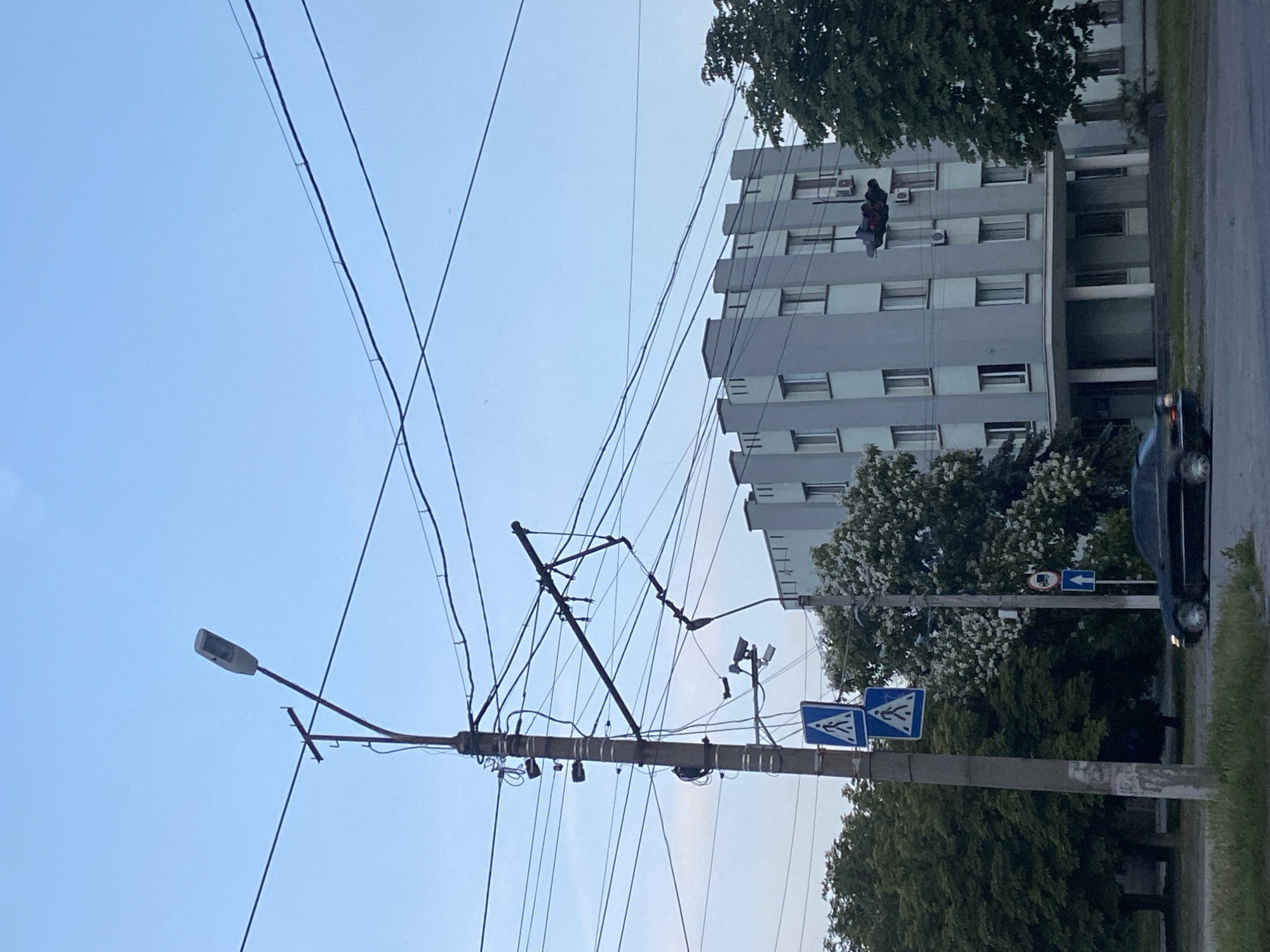 The image depicts a street scene in an urban environment under a clear sky. In the foreground, a concrete utility pole is adorned with numerous wires, traffic signals, and two pedestrian crossing signs. Below the pole, a dark-colored car is driving on the asphalt road, with a strip of green grass and foliage visible to the left.
In the mid-ground, a light blue, multi-story building with a series of evenly spaced windows stands prominently. Trees, some with white blossoms, are scattered around the building and along the street. Overhead, a complex network of electrical wires stretches across the frame, supported by the utility pole and extending towards the building.
The scene appears to be captured during the daytime, with soft lighting indicating it might be early morning or late afternoon. The overall impression is one of a typical city intersection, characterized by infrastructure, traffic, and vegetation.