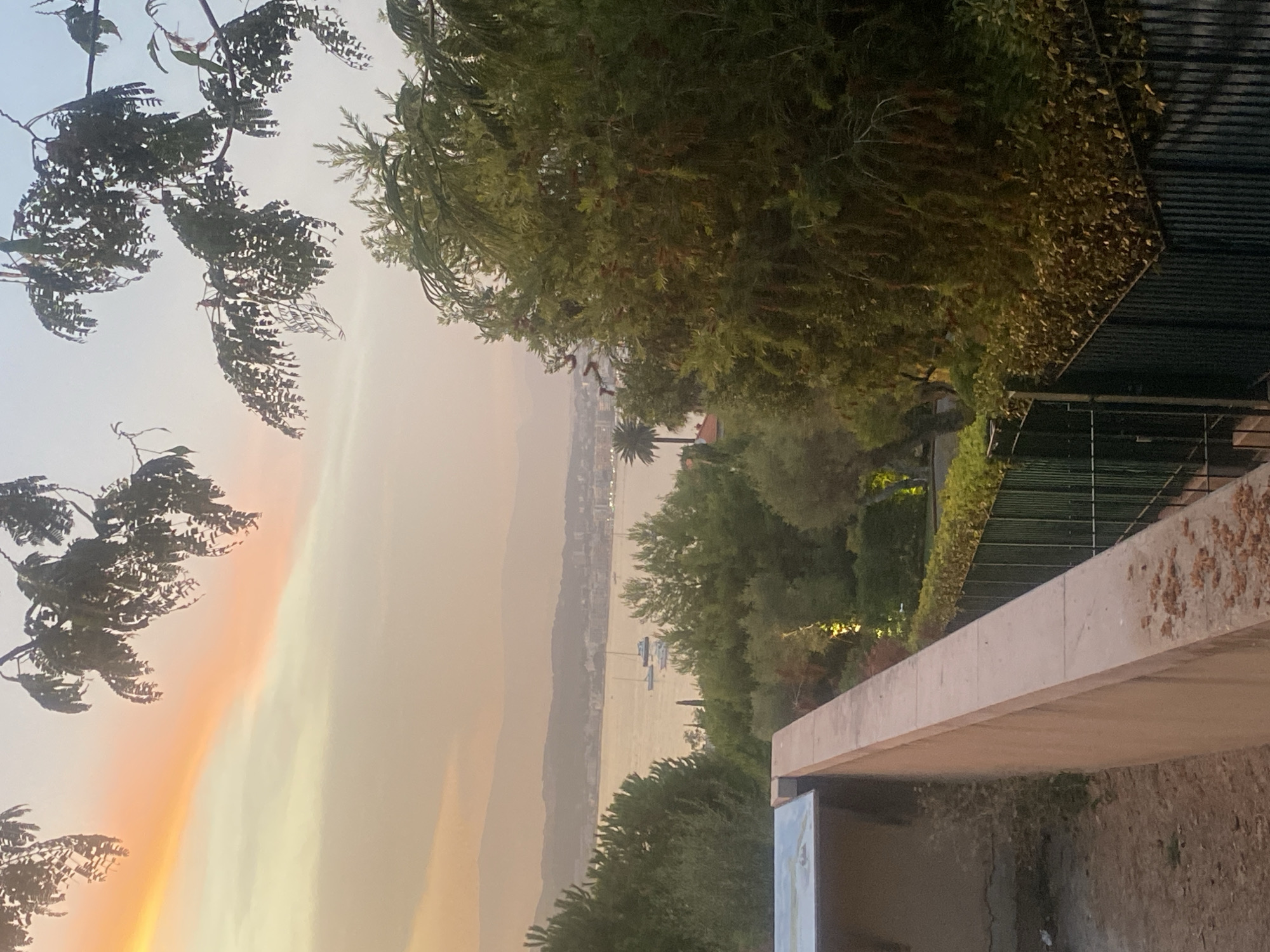 An elevated, long shot captures a serene evening scene in Antibes, France, dominated by the soft glow of the sunset reflecting on the water. The sky is painted with hues of orange and yellow, transitioning to a pale lavender as it meets the distant, hazy mountains. In the foreground, a tan-colored wall runs diagonally across the lower left of the frame, with a patch of disturbed earth beside it. Beyond the wall, a black metal fence lined with dense, dark green foliage runs along the right side.
The middle ground reveals a calm body of water, likely the Mediterranean Sea, dotted with several sailboats. The coastline of Antibes is visible as a strip of buildings stretching across the horizon, nestled against the foothills of the mountains. Lush green trees, varying in density and height, populate the landscape between the foreground wall and the water. Some trees are full and verdant, while others appear more sparse and delicate, with trailing branches. A lone palm tree stands tall on the left side of the water's edge. The overall impression is one of tranquility and natural beauty, with the urban environment of Antibes subtly integrated into the picturesque landscape.