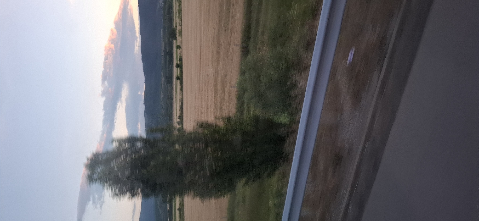The image depicts a landscape scene, likely captured from a moving vehicle, given the motion blur. The foreground features a portion of a road and a metal guardrail, suggesting the perspective is from a highway or a road with similar infrastructure. Beyond the guardrail, a field of golden-brown crops, possibly wheat or barley, stretches towards a backdrop of rolling hills or mountains. A lone, blurred tree stands prominently in the mid-ground. The sky above is a soft blend of pale blue and pink hues, with scattered clouds, indicating either sunrise or sunset. The overall impression is one of a rural or semi-rural environment. The question of the location in Mursalevo, Bulgaria, cannot be verified or refuted by the visual information present in the image alone. There are no discernible landmarks or specific features that definitively place the scene within Mursalevo or any other specific geographic location.