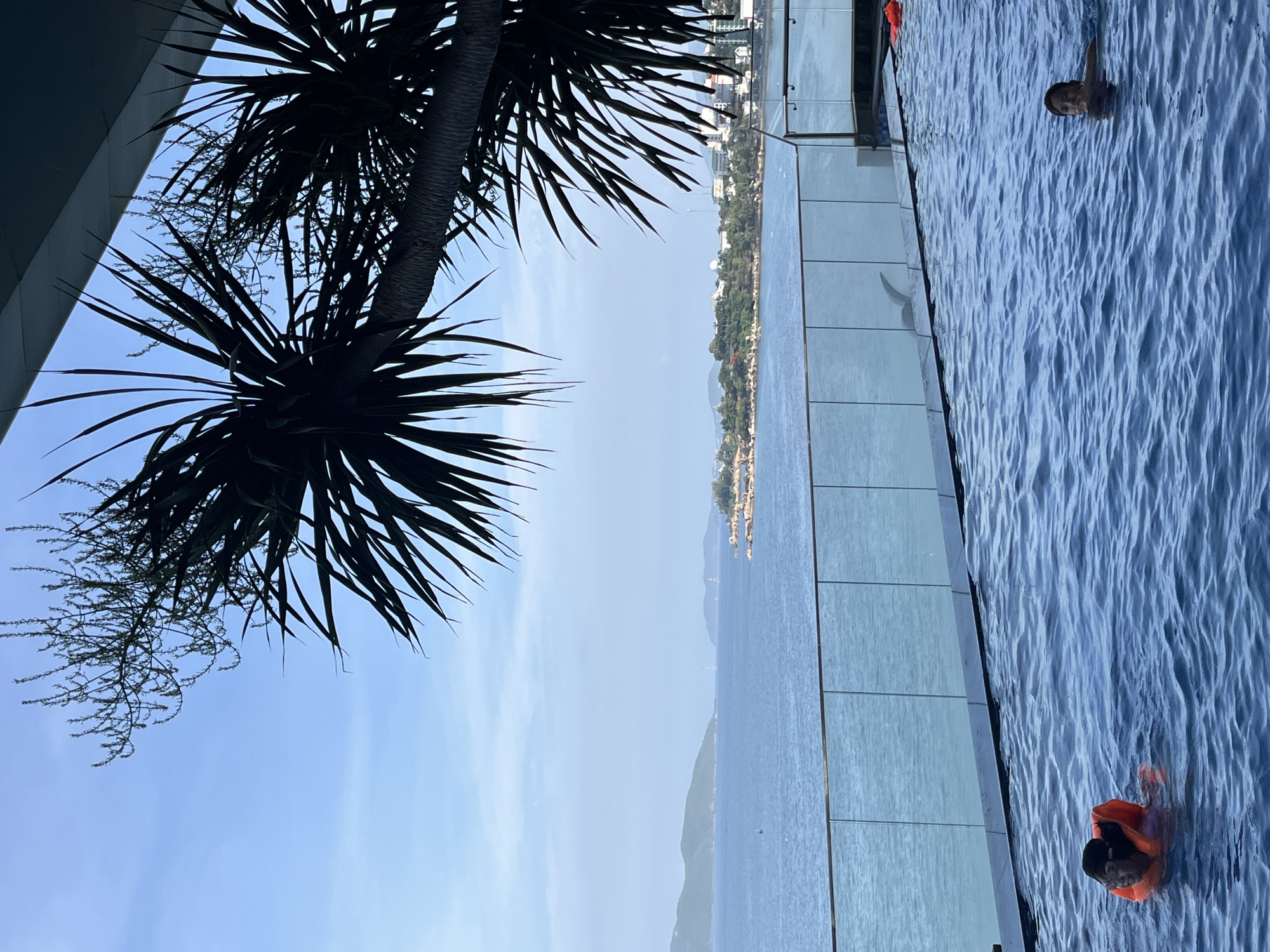 This image depicts an infinity pool overlooking the ocean in Bac Nha Trang Ward, Vietnam. Two individuals are visible in the pool, one on the left wearing an orange life vest, and another on the right partially submerged. The water is a deep blue, with gentle ripples. A glass railing separates the pool from the ocean, and beyond that, the sea stretches out to a distant coastline with hills and buildings. Palm fronds are silhouetted against the clear blue sky, partially obscuring the view. The overall scene conveys a sense of leisure and relaxation in a coastal environment.
