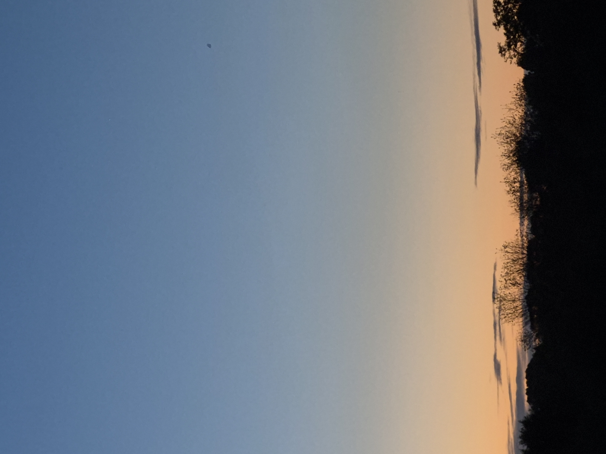 The image displays a twilight sky with a gradient transitioning from deep blue at the top to a soft orange near the horizon. A silhouetted tree line forms the bottom of the frame, with sparse clouds visible above the trees. In the upper right quadrant of the sky, a small, dark, oblong object is discernible. This image does not provide any information to suggest it is located in the city of Sooblase, Estonia, or any other specific geographical location.