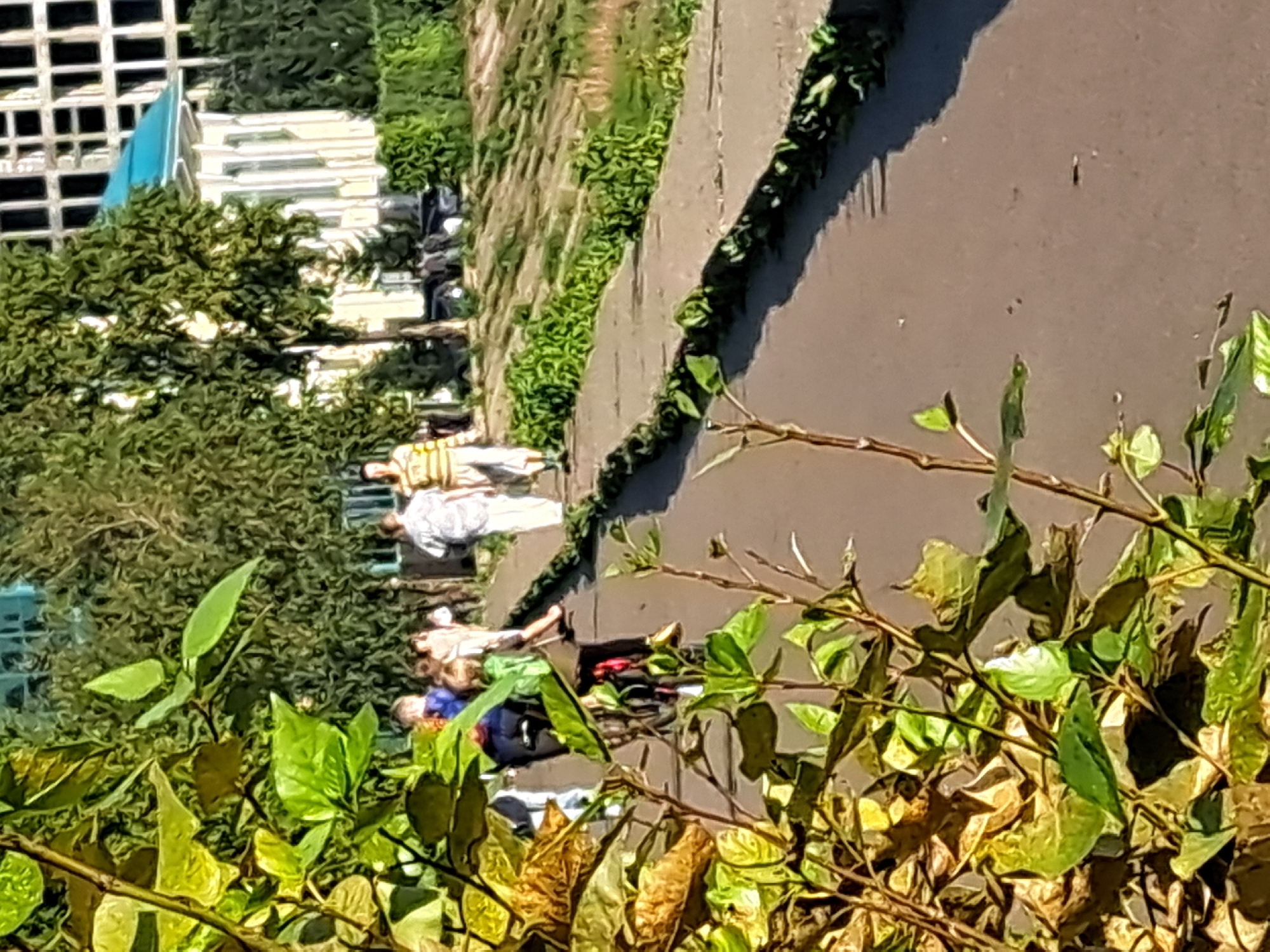 The image shows a sunny outdoor scene with a paved pathway bordered by greenery. Several people are walking on the pathway. In the foreground, out-of-focus leafy branches are prominent. In the background, a light-colored building with a blue roof is visible, as is a darker, multi-story building under construction or renovation with numerous dark rectangular windows. The overall setting suggests a public park or a similar recreational area.
