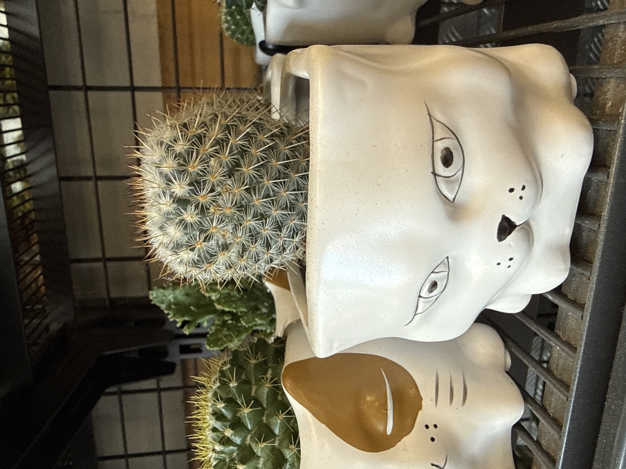 A close-up, eye-level shot captures several potted cacti with distinct planters. In the foreground, a white ceramic planter shaped like a cat's face with hand-drawn features holds a spherical cactus covered in white spines. To the left, another similar planter, also white, displays a brown patch on its face resembling a cat's ear, and contains a segmented cactus. Behind these, a smaller, green cactus is visible in a plain white pot. In the background, part of a black metal shelf with horizontal bars is visible, and further back, a wooden surface with horizontal lines. The scene is illuminated by what appears to be artificial light, casting soft shadows. The image was taken in Herzberg, Germany.