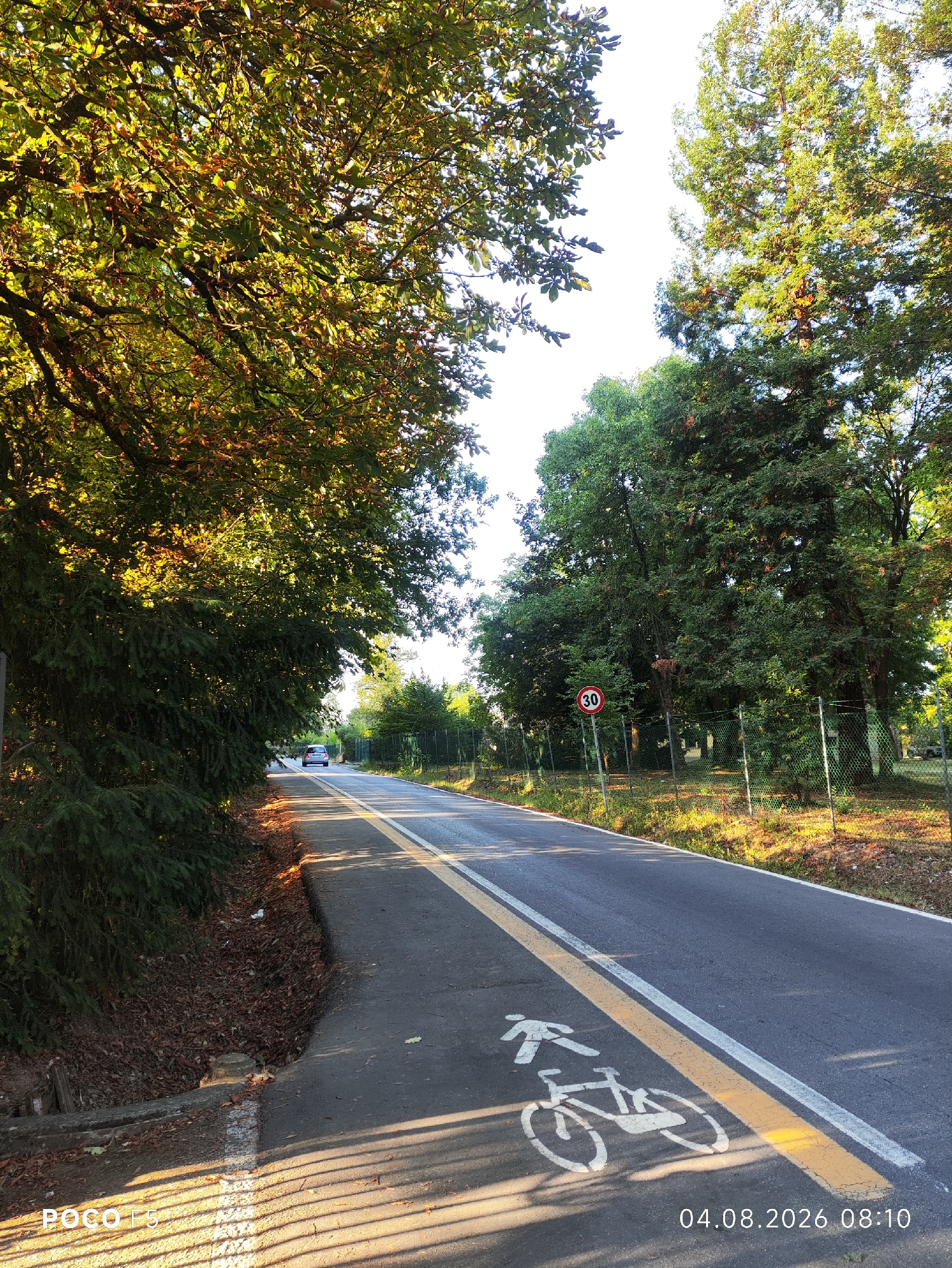The image depicts a road in Collecchio, Italy, lined by lush trees. A speed limit sign displaying "30" is visible. The road has a bicycle lane marked with a white symbol of a person walking and a bicycle. The sun casts long shadows across the pavement, indicating it is either early morning or late afternoon. In the distance, a car is seen driving away. The environment appears to be a park or a quiet residential area, with a fence running alongside the road. The date and time stamp at the bottom right corner reads "04.08.2026 08:10".
