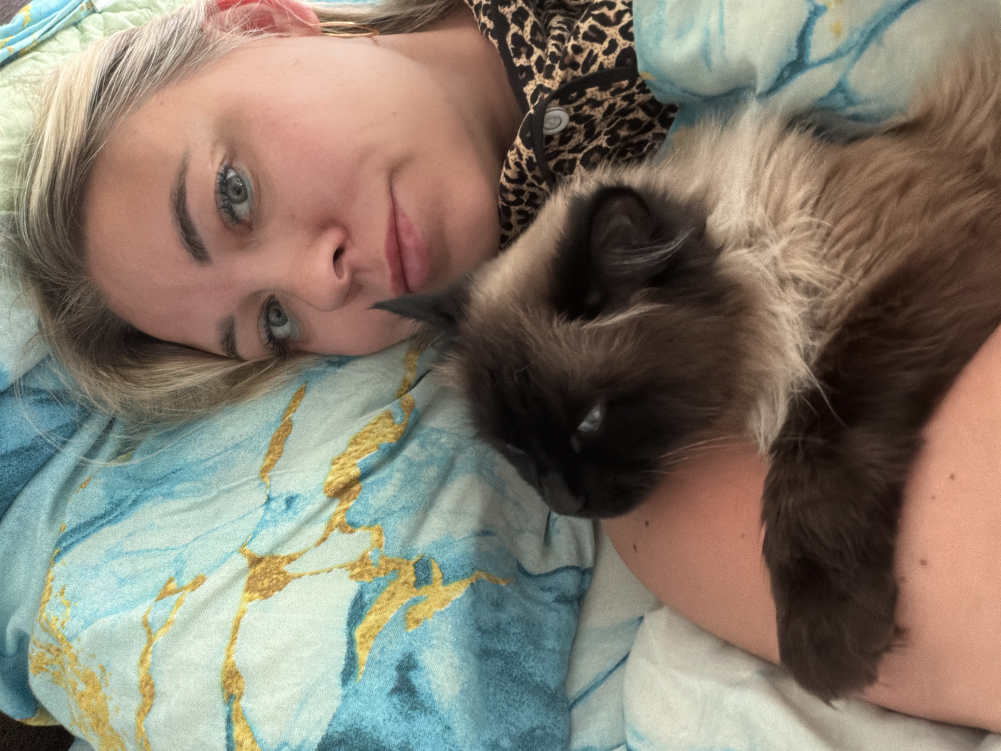 In the provided image, a woman with blonde hair and blue eyes is lying in bed, holding a Siamese cat. She is wearing a leopard-print pajama top. The bedding features a blue and gold marble pattern. The scene appears to be an indoor setting. There is no information in the image that can be used to determine the location in the city of Chaikovsky, Russia.