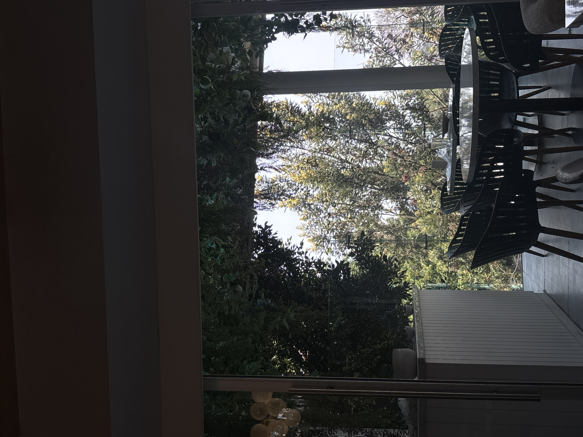 The photograph shows an interior view looking out of a window. Outside, there is lush green foliage, appearing to be a dense garden or trees. Tables and chairs are visible on a patio or outdoor area. The image likely comes from a restaurant or cafe, based on the furniture. It is taken in Mexico City, Mexico.