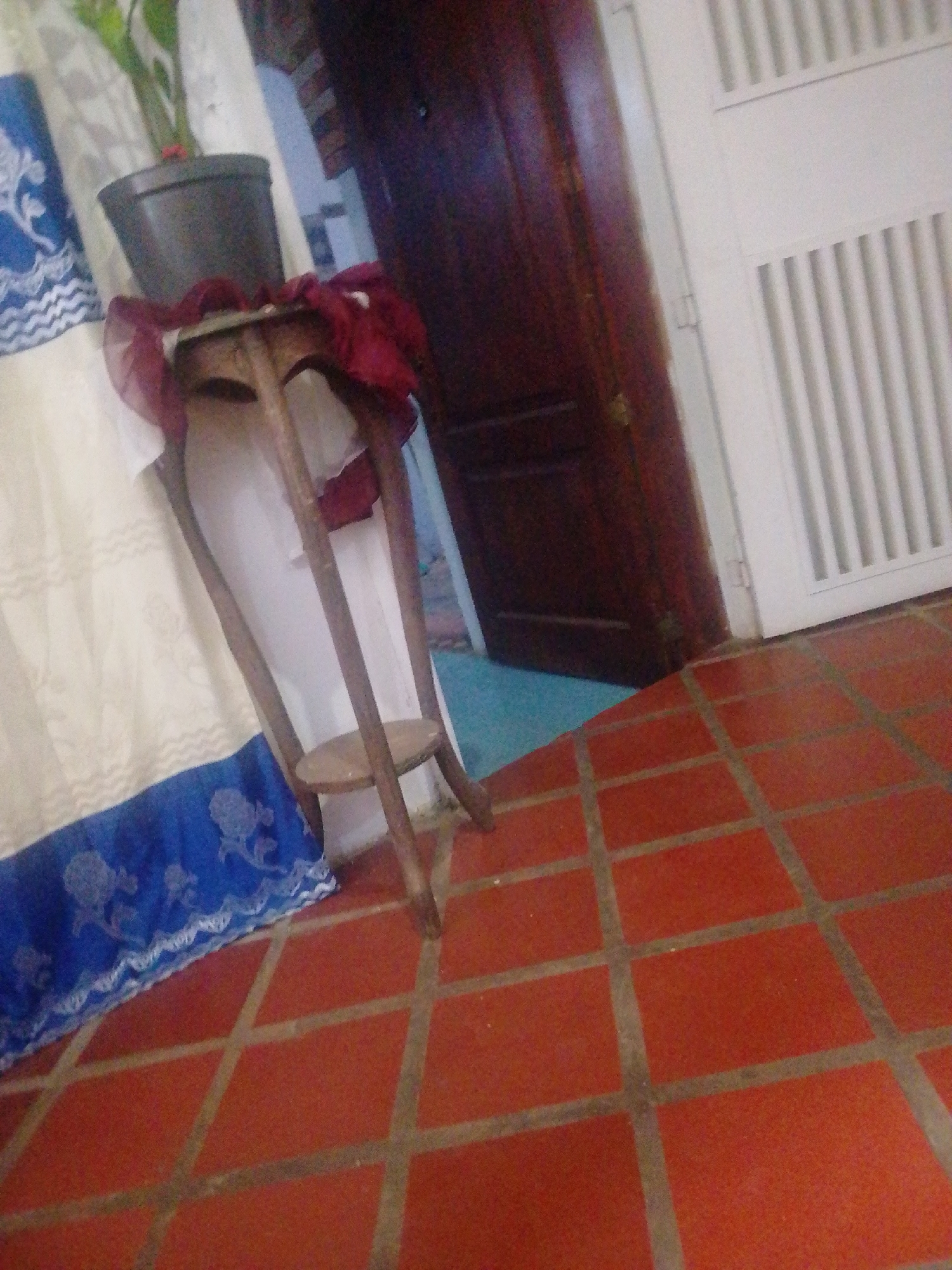 In Atamo Sur, Venezuela, a plant sits in a dark pot on a rustic wooden stand. The stand is adorned with a burgundy sheer fabric, partially obscuring its lower shelf. To the left of the stand, a cream-colored curtain with a blue floral border is visible, suggesting an indoor setting. The floor is covered in reddish-orange square tiles. In the background, a dark wooden door stands ajar, revealing a glimpse of a white door or wall with vertical slats. The lighting is dim, casting shadows and contributing to a slightly blurred image quality.