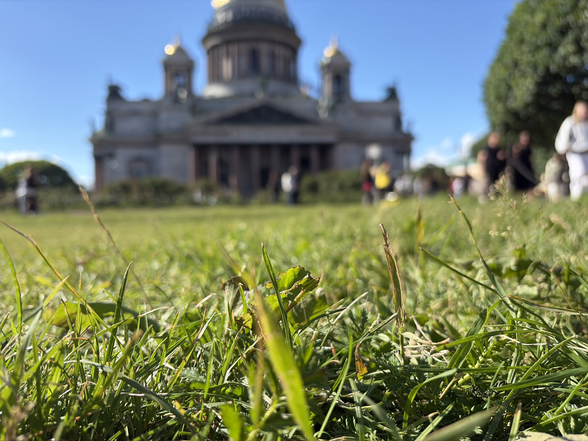 The image captures a low-angle view of a lush green lawn in Saint Petersburg, Russia, with Saint Isaac's Cathedral prominently blurred in the background. The foreground is dominated by sharp blades of grass and some dried stalks, suggesting a close-up perspective. In the mid-ground, several out-of-focus figures are visible, including one person in a white top and another in a yellow top, indicating a public space with visitors. The iconic dome and columns of Saint Isaac's Cathedral are recognizable despite the blur, with a bright blue sky overhead. The scene suggests a sunny day in a well-known tourist area.