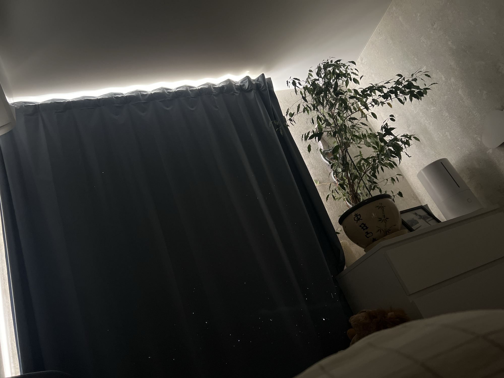 The image depicts an indoor scene with a dark grey curtain covering most of the frame. Above the curtain, a strip of bright white LED lighting is visible along the ceiling. To the right of the curtain, a potted plant with dark green leaves sits on top of a white dresser. On the dresser, there is also a framed picture and a white humidifier. The overall lighting is dim, suggesting it is either nighttime or the room is intentionally kept dark. The location in the city of Volgograd, Russia, is not discernible from the visual information provided in the image.
