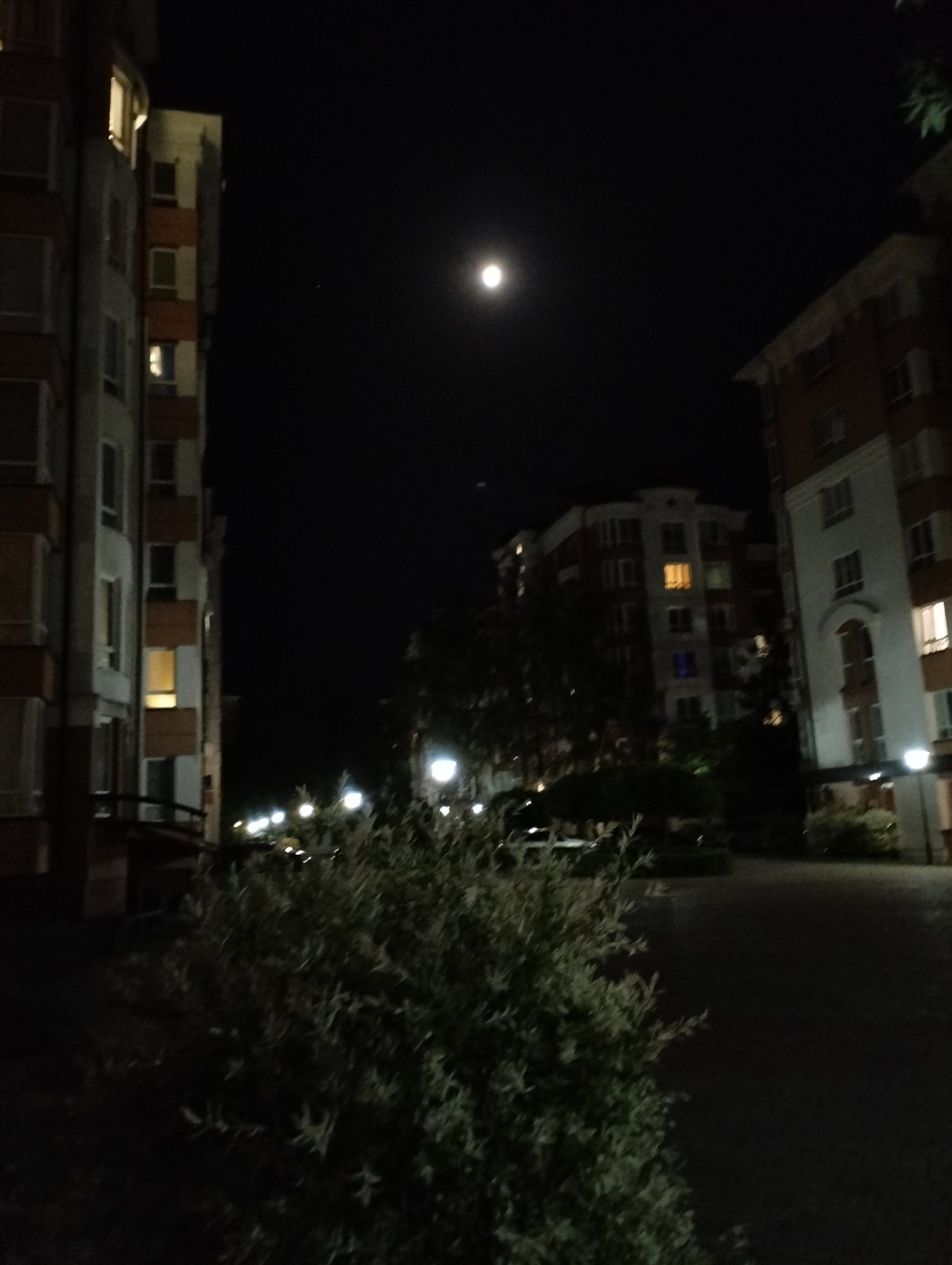 Nighttime scene in Krykhivtsi, Ukraine. The moon is visible in the sky. Buildings with lit windows surround the foreground shrubbery. Street lights illuminate the ground. The scene lacks signs of life; no people or moving vehicles are apparent. The setting is residential, with a courtyard-like area featuring paving stones.