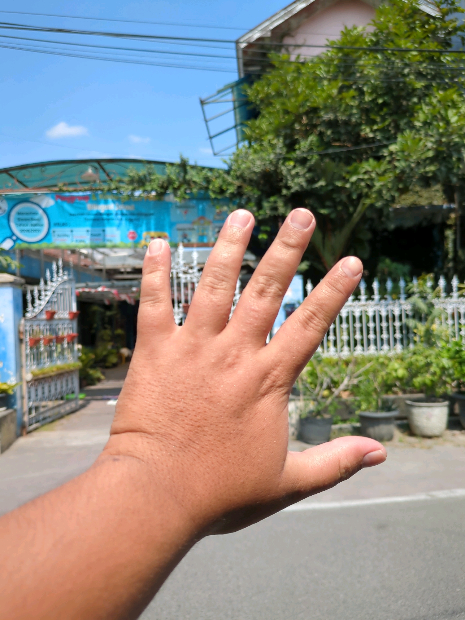 A close-up shot of a person's left hand, palm facing the camera, obscures the background. The hand appears to be Caucasian with light skin and short fingernails. The fingers are slightly spread, with the thumb extended upwards.
Behind the hand, the scene is blurred but depicts an outdoor environment. A street or pathway runs horizontally across the lower portion of the image. To the left, a blue building with white fencing and an open gate is visible, suggesting it might be an entrance to a property or establishment. Some potted plants are arranged near the gate. Further into the background, a lush green tree with dense foliage stands prominently. Above the tree, a portion of a pink and white house with a pitched roof can be seen. Overhead, a network of power lines crisscrosses the bright blue sky, which has a few wispy clouds.
The overall impression is a casual, everyday scene, possibly in a residential or commercial area within the city of Surakarta, Indonesia, given the context provided. The lighting suggests it is daytime, likely with direct sunlight, casting a bright and slightly washed-out appearance on some elements. The focus on the hand suggests it is the primary subject of interest, perhaps used to block the view of something behind it or as a gesture.