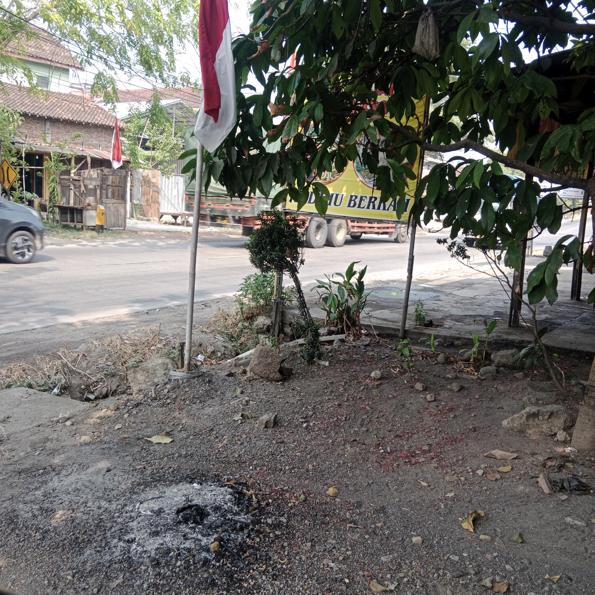The image depicts a street scene in Tegowanu Kulon, Indonesia. In the foreground, a patch of dry, dusty ground is scattered with small red particles, possibly flower petals or debris, and a pile of grey ash from a fire. A grey car is visible on the left, driving on an asphalt road. Behind the road, a row of buildings with terracotta tiled roofs lines the street. A prominent Indonesian flag, red and white, waves on a pole to the right of center. A large tree with green leaves partially obscures the view of a yellow truck with text on its side. Several other smaller plants and rocks are present in the foreground and midground. The overall impression is of a quiet, possibly rural or semi-urban street on a bright day.