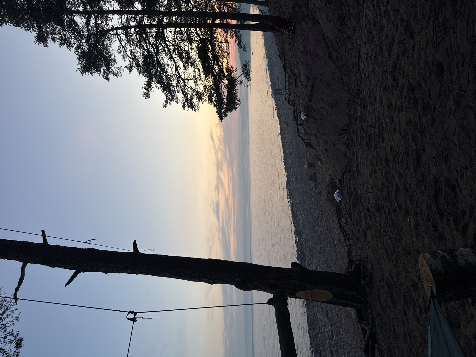 The image shows a landscape at the beach in Luzhki, Russia. Silhouetted trees frame the scene. To the left, a leaning tree trunk with cables attached stretches across the view. At the top, more trees appear against a backdrop of a colorful sunset reflecting off the water. The shoreline is composed of sand and pebbles, with some camping equipment visible, including reflective objects and a possible chair.