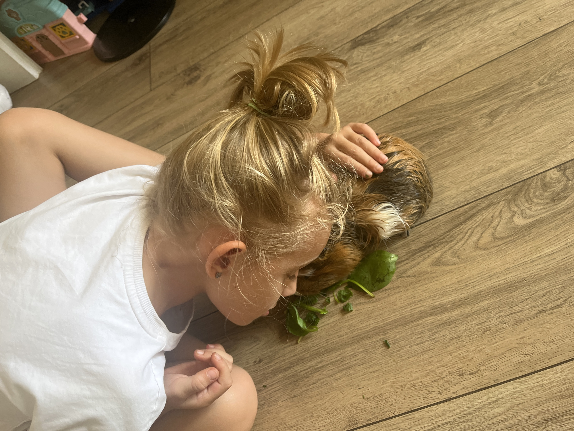 A young child, with blonde hair pulled into a messy bun, lies on their stomach on a wooden floor, head resting near a guinea pig. The child is wearing a white t-shirt and their hands are positioned near the guinea pig. Green leafy vegetables are scattered around the guinea pig and the child's face. The background is out of focus, but appears to be an indoor setting with toys visible to the right.