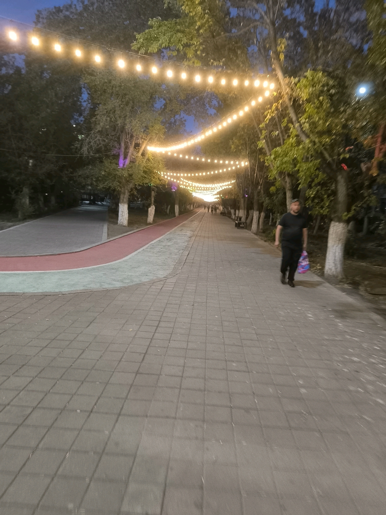 The image depicts a park pathway at dusk in Jezqazğan, Kazakhstan, illuminated by a string of lights. A man wearing a black t-shirt and black pants walks along the paved path, carrying a pink and blue striped bag. The pathway is lined with trees and features a separate red and gray track for exercise. The sky is dark blue, indicating evening.