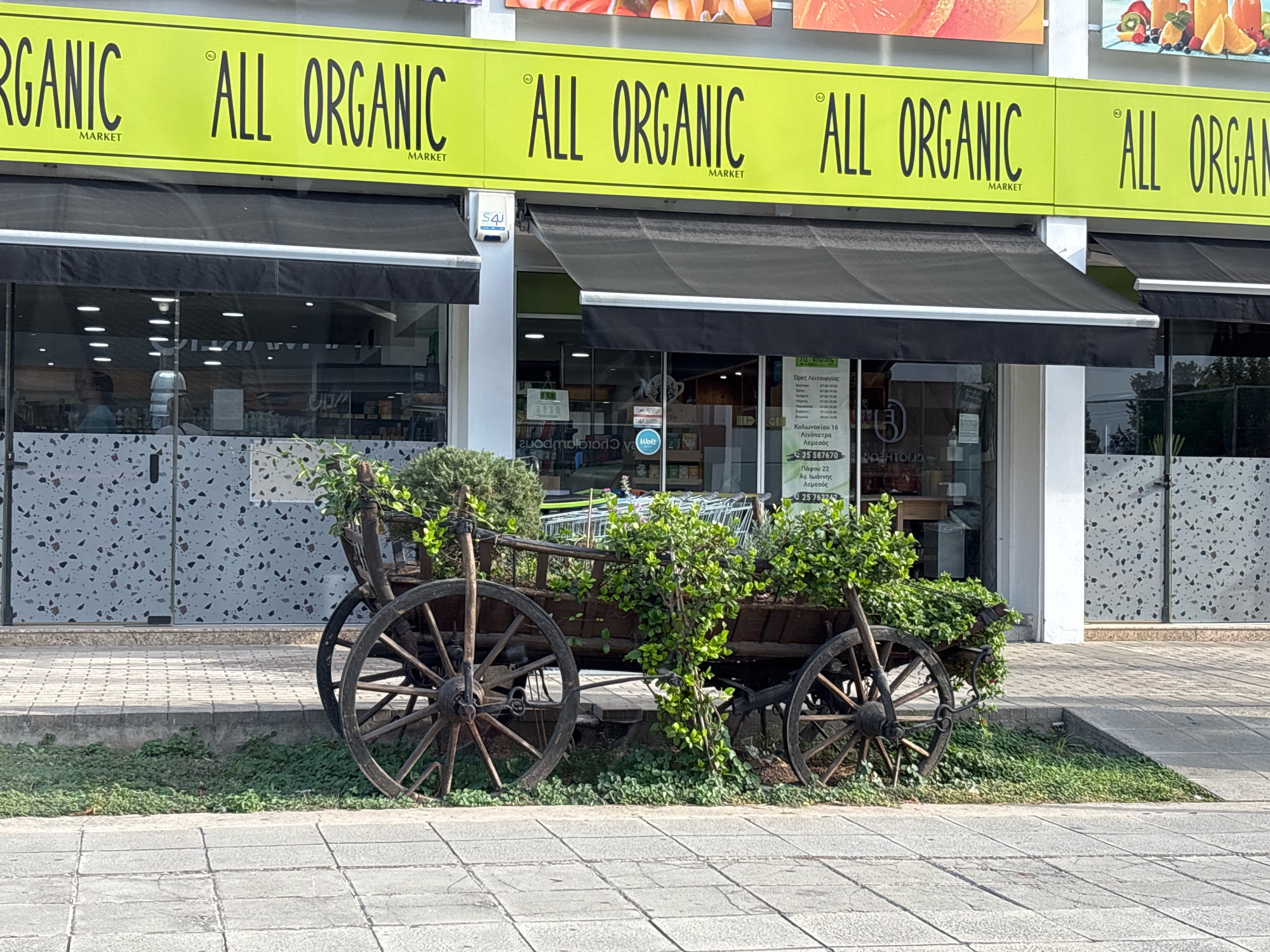 This is a medium shot of a storefront with a sign that reads "ALL ORGANIC MARKET" in large black lettering on a bright yellow background. The sign is repeated multiple times across the width of the building. Below the sign, there are black awnings covering the shop windows. In front of the storefront, a rustic wooden cart with large spoked wheels is placed on a patch of green grass. The cart is overflowing with lush green plants and vines. The ground in front of the cart is paved with grey tiles. A person is visible through the glass of the storefront, appearing to be inside the market. The environment suggests a commercial area within the city of Agios Athanasios Municipality, Cyprus.