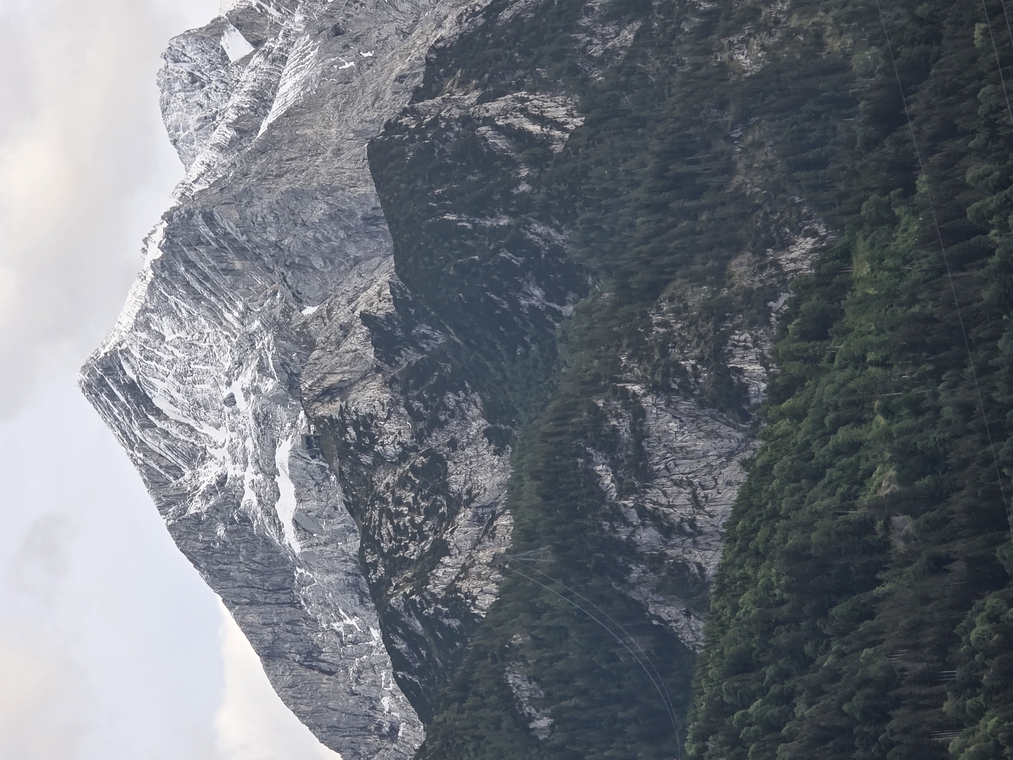 The image shows a view of the Zugspitze mountain range near Garmisch-Partenkirchen, Germany. The top of the mountains are capped with snow, and the lower slopes are covered in dark green coniferous trees. The sky is overcast. There are no people or animals visible in the image. The scene is a natural landscape, with no man-made structures clearly visible apart from power lines running across the lower part of the frame.