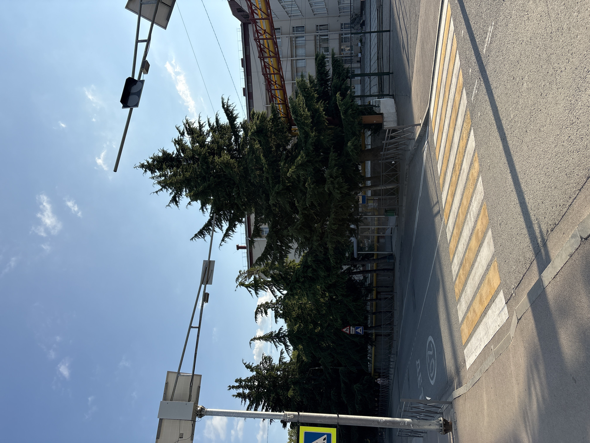 The image depicts a street scene in Malyi Mayak, Ukraine. A pedestrian crossing with yellow and white stripes is prominently in the foreground, leading across an asphalt road. To the left of the crossing is a metal pole with traffic signals and a yellow pedestrian crossing sign. A speed limit sign indicating "20" is visible on the road near the crossing. Several tall cypress trees line the sidewalk behind a metal fence. In the background, a multi-story building with white walls and numerous windows is visible, connected by a yellow and red elevated structure. The sky is blue with scattered white clouds, and the sunlight casts long shadows across the scene. No people are clearly visible in the image, although one indistinct figure can be seen walking in the distance.